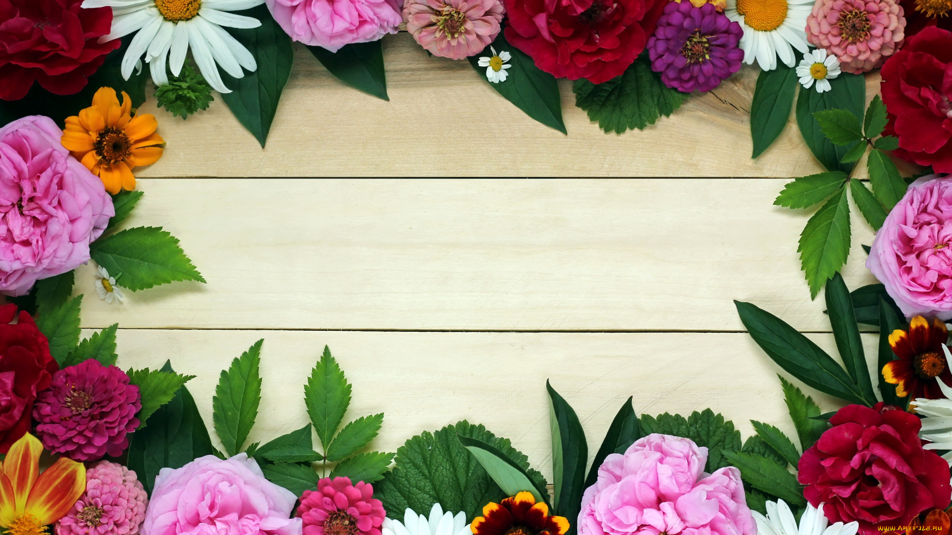 цветы, разные, вместе, цинния, роза, пион