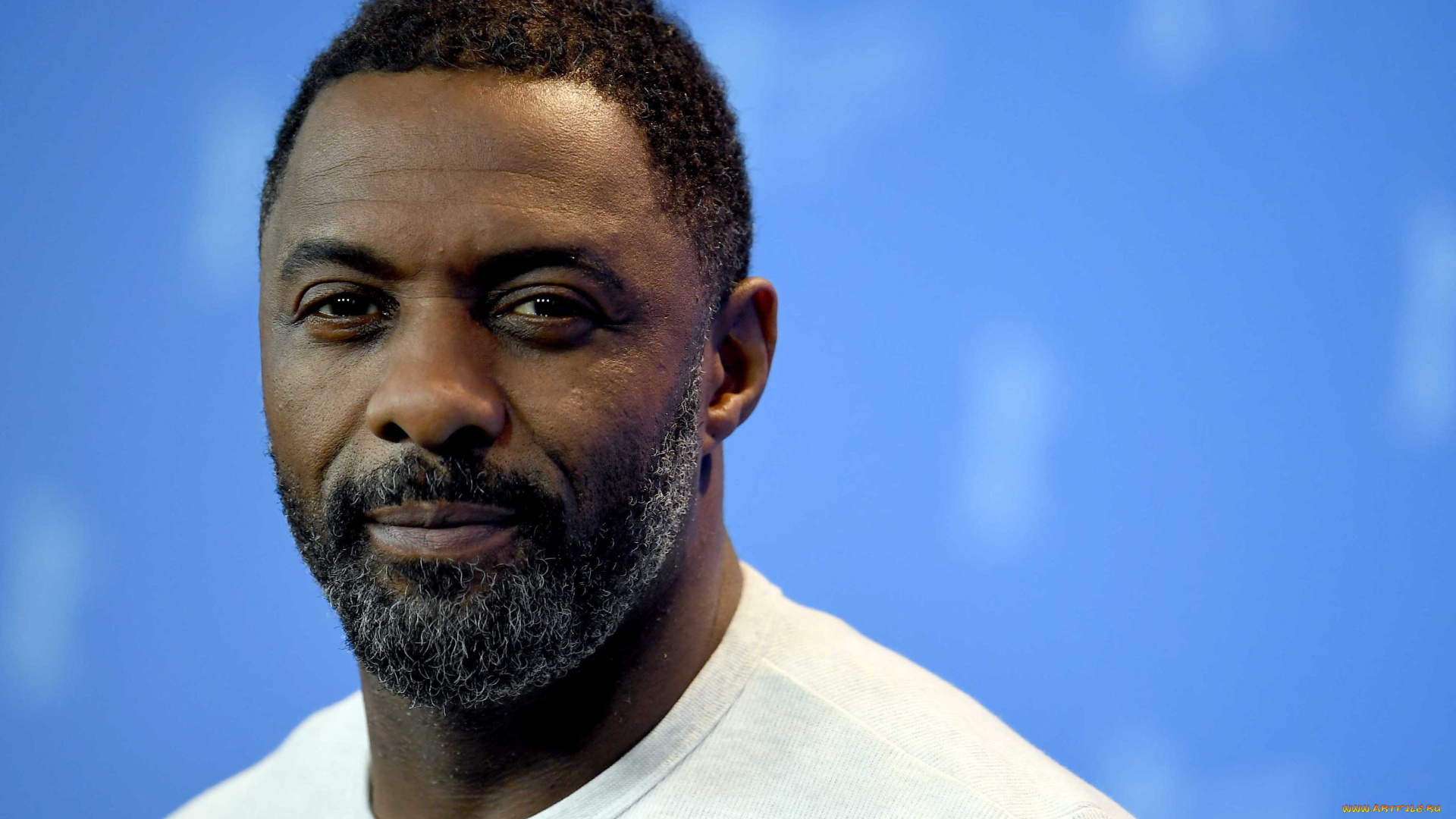 idris, elba, мужчины, лицо, актер, idris, elba, футболка