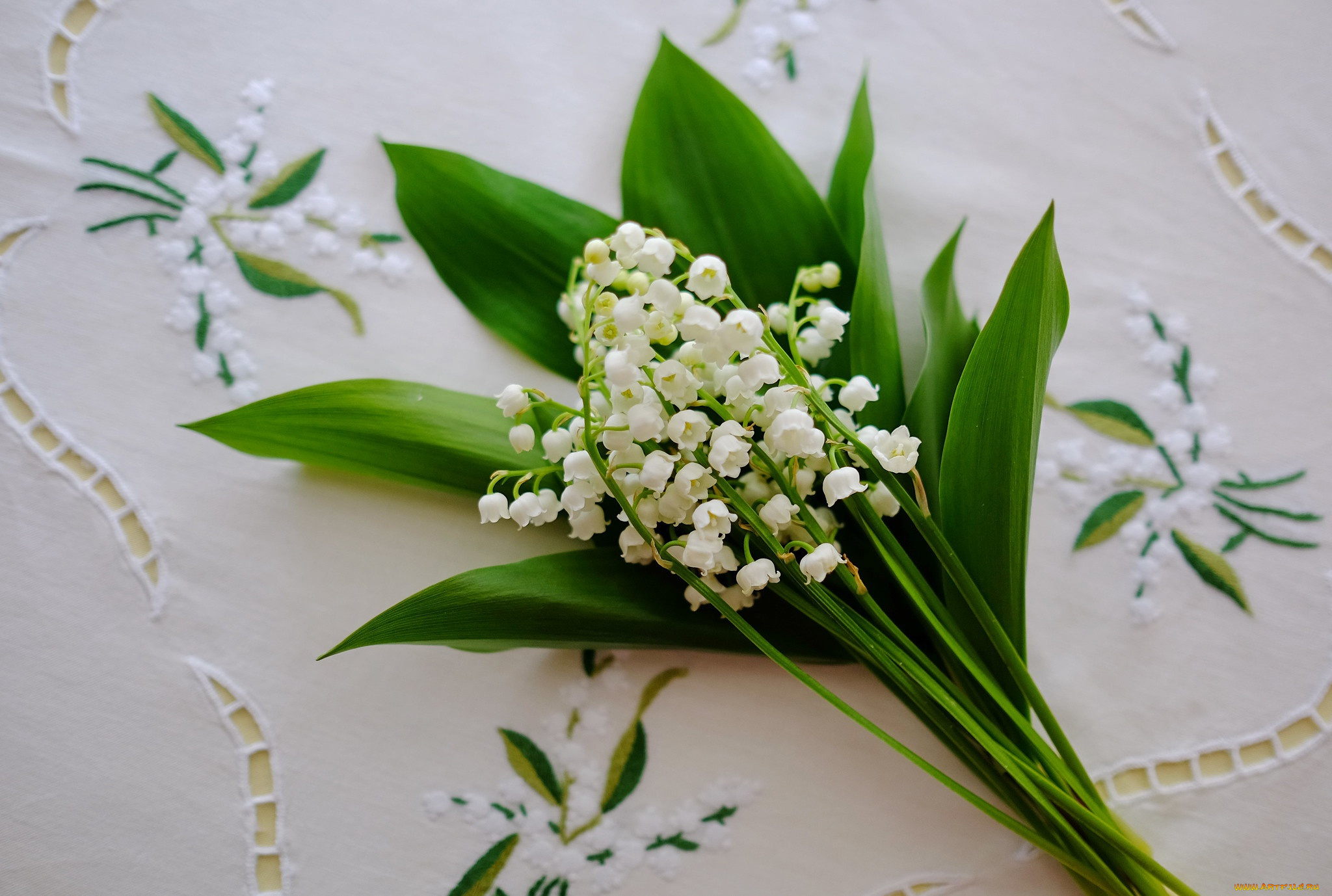 цветы, ландыши