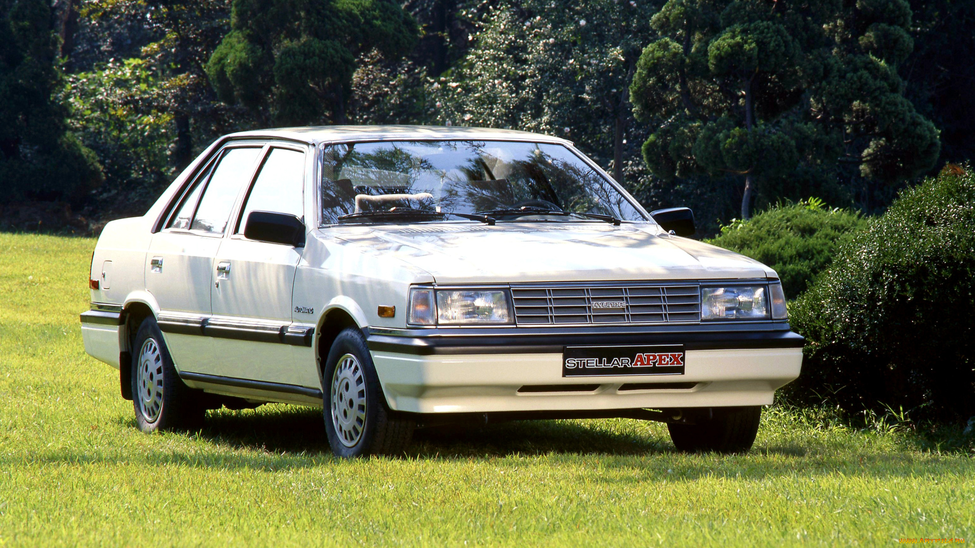 stellar, автомобили, hyundai