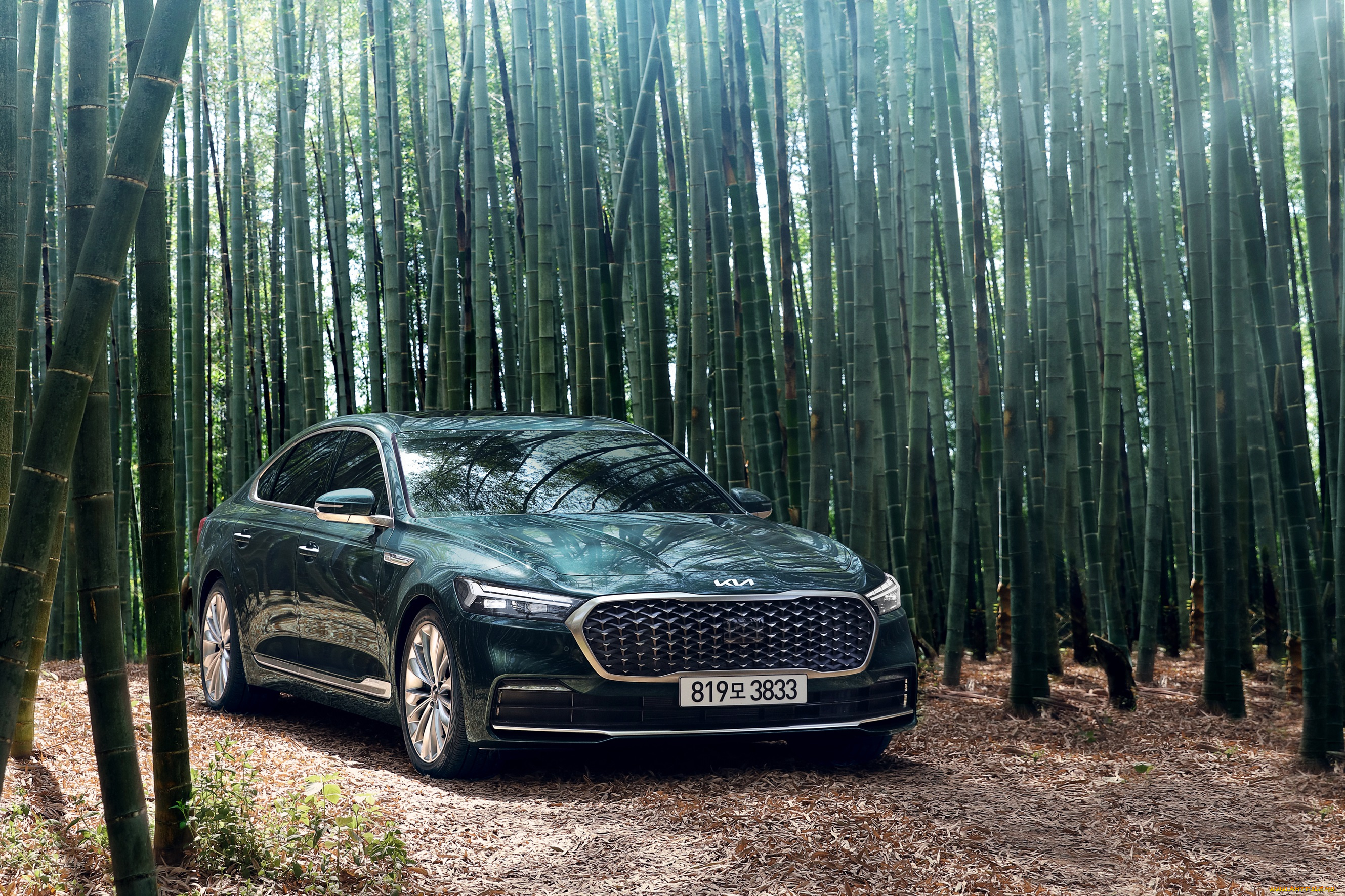 k9, автомобили, kia