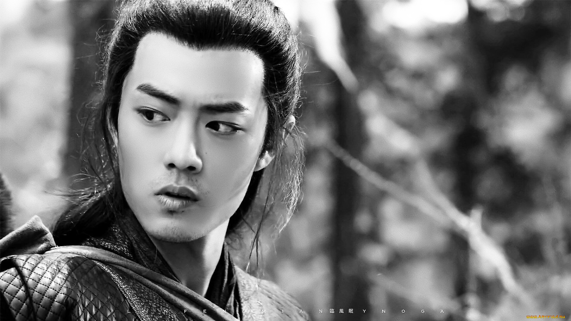 кино, фильмы, the, wolf, лицо, цзичун