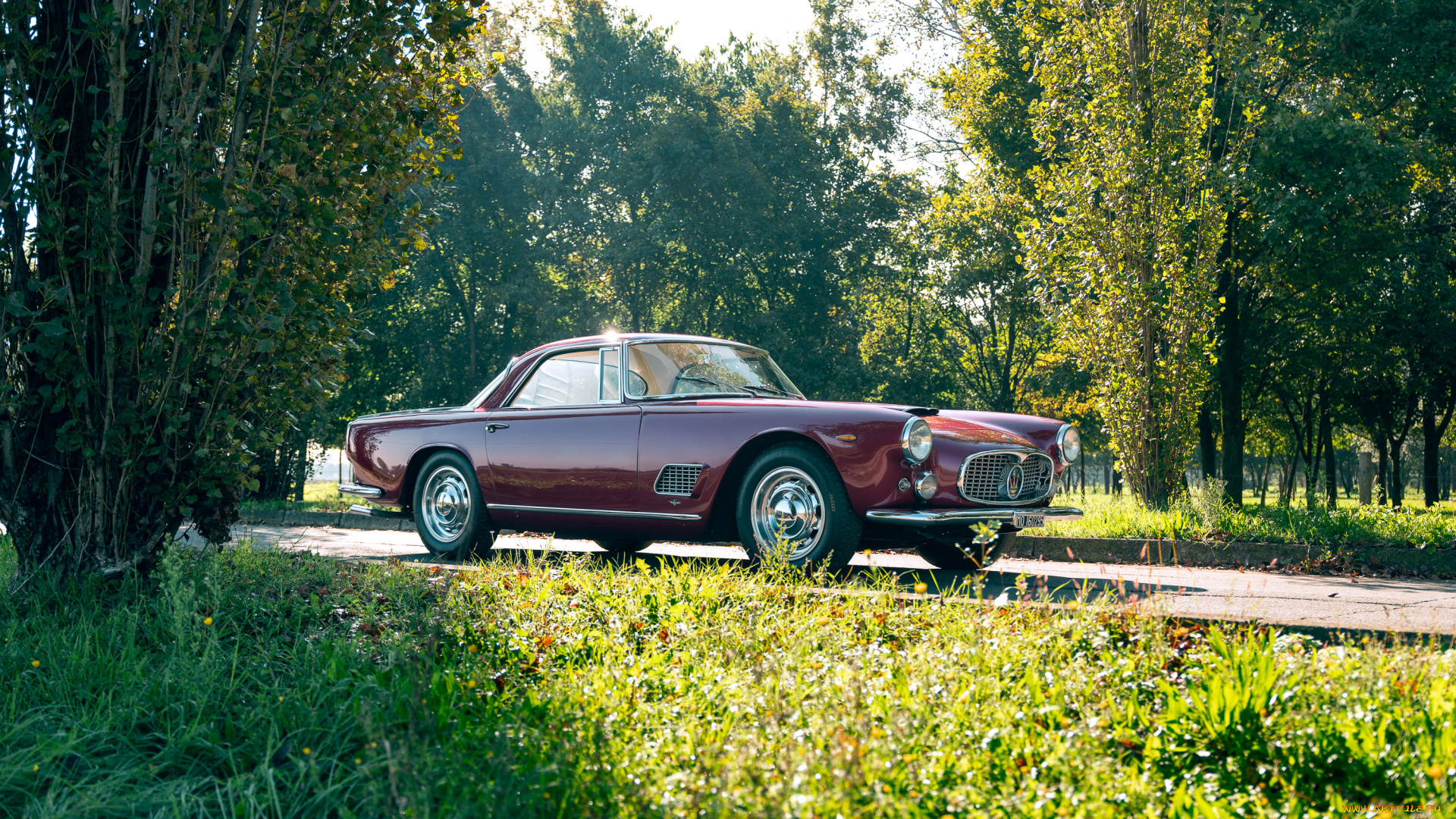 автомобили, maserati