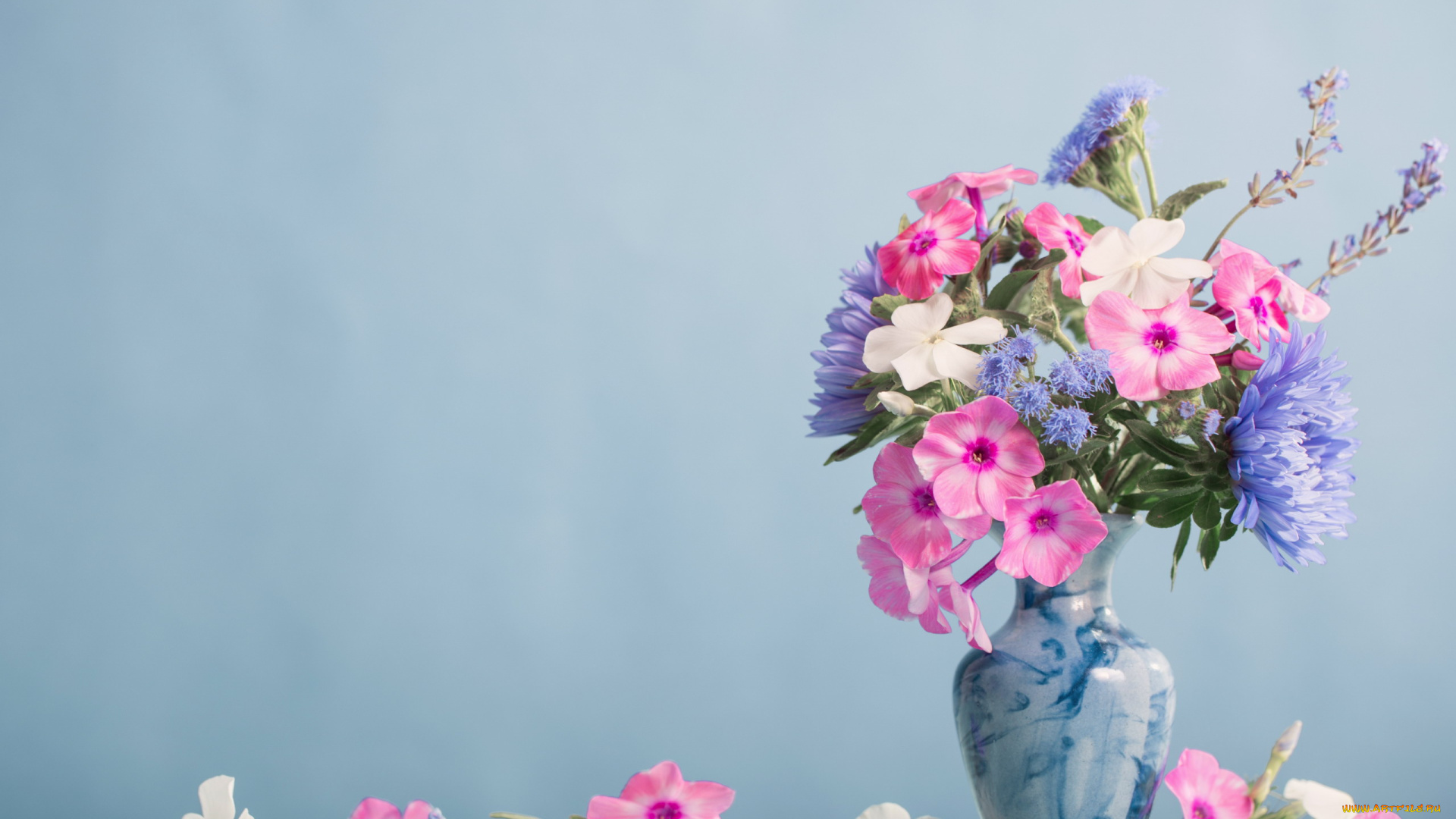 цветы, букеты, , композиции, ваза, букет, флоксы