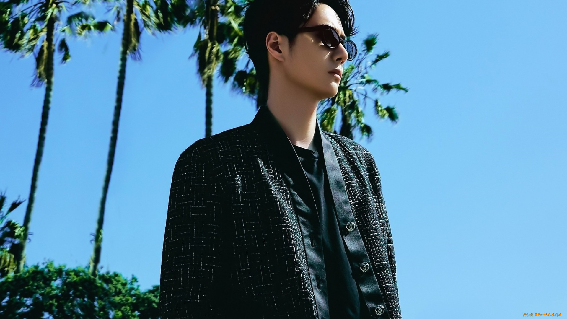 мужчины, wang, yi, bo, актер, очки, пальмы, небо