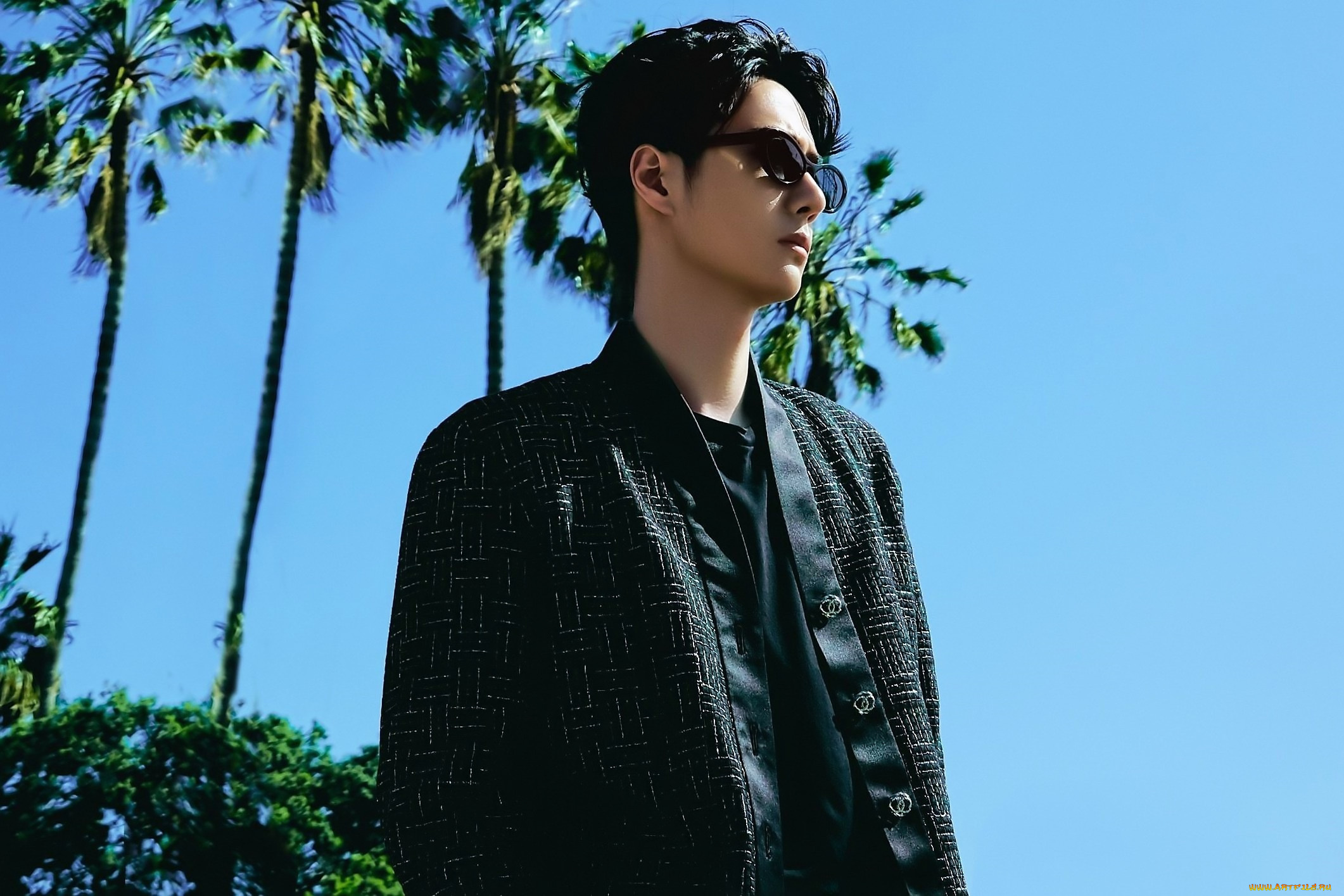 мужчины, wang, yi, bo, актер, очки, пальмы, небо