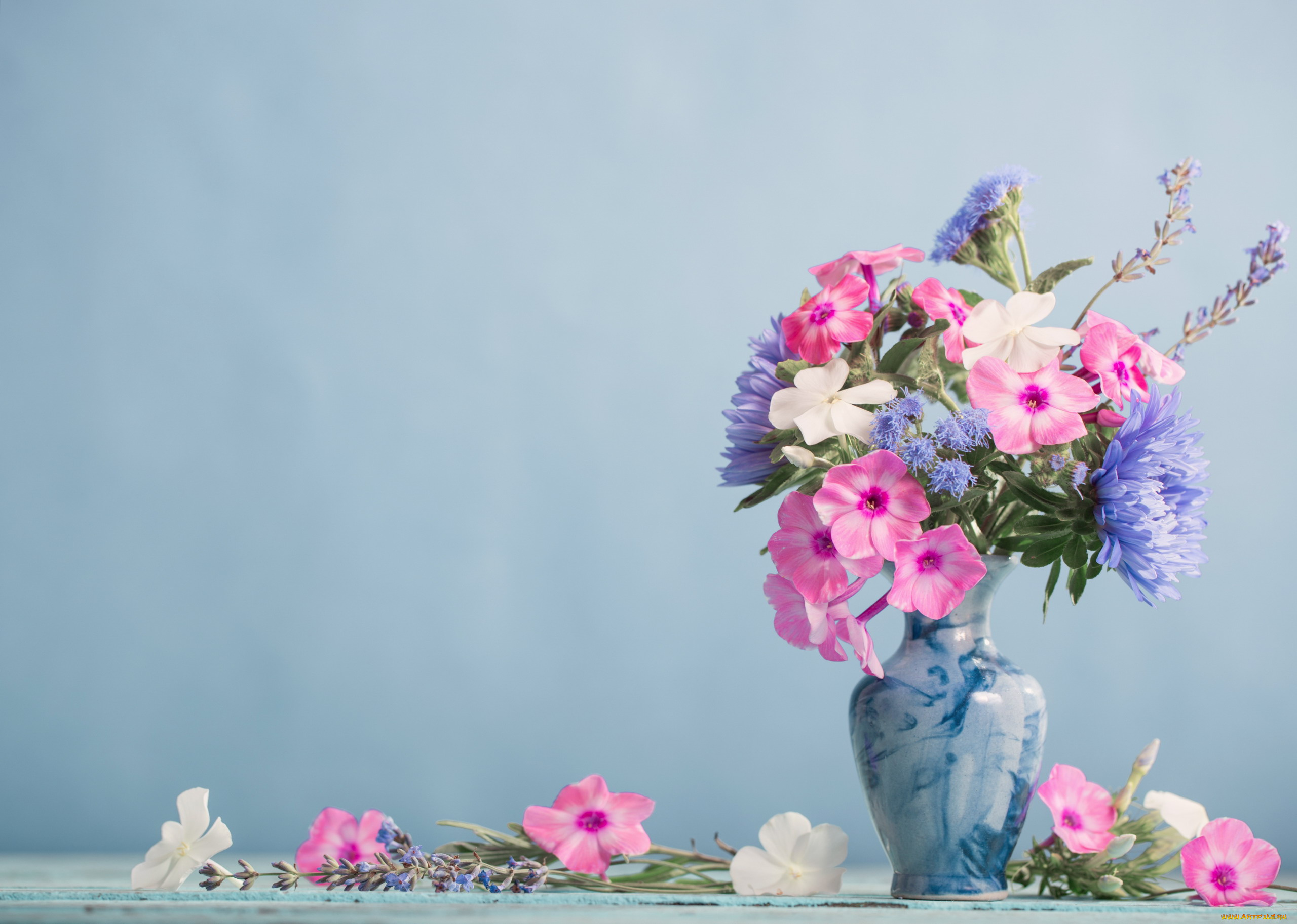 цветы, букеты, , композиции, ваза, букет, флоксы