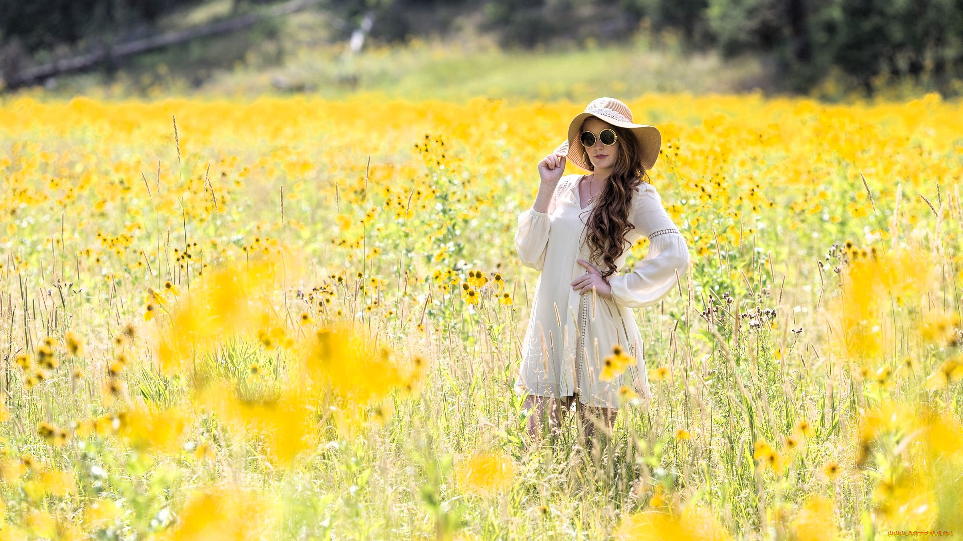 девушки, -, брюнетки, , шатенки, шатенка, шляпа, очки, платье, луг, цветы