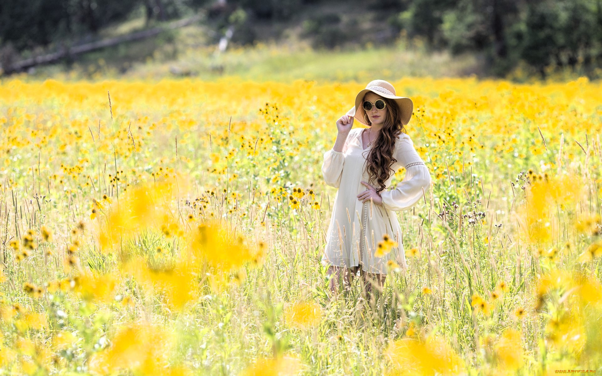 девушки, -, брюнетки, , шатенки, шатенка, шляпа, очки, платье, луг, цветы