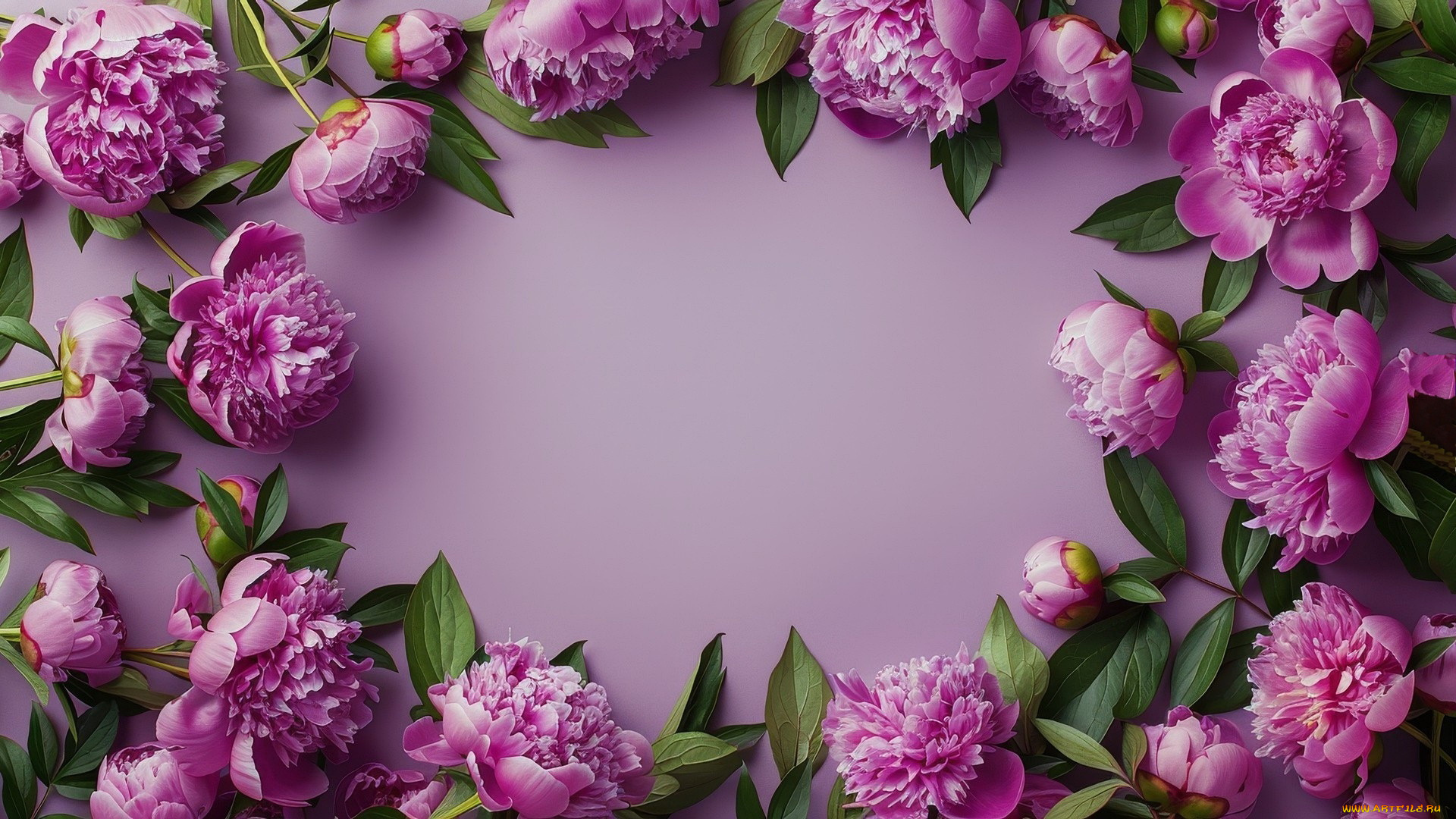 3д, графика, цветы, , flowers, пионы