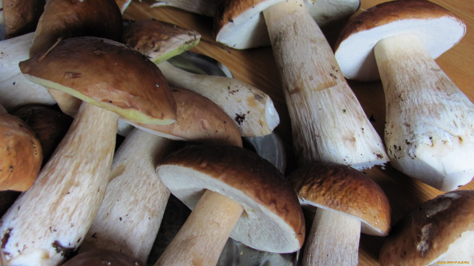 еда, грибы, , грибные, блюда, боровики