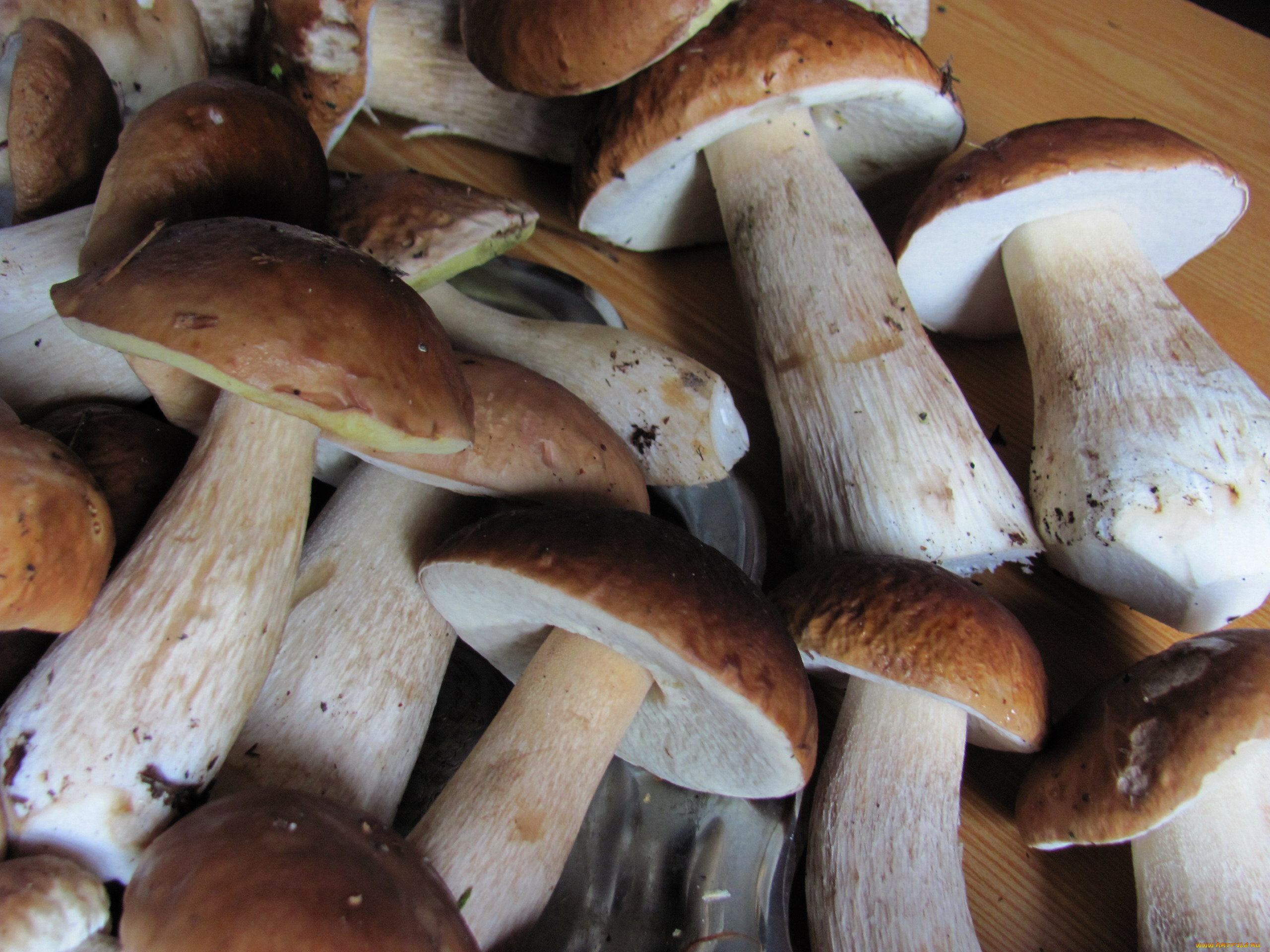 еда, грибы, , грибные, блюда, боровики