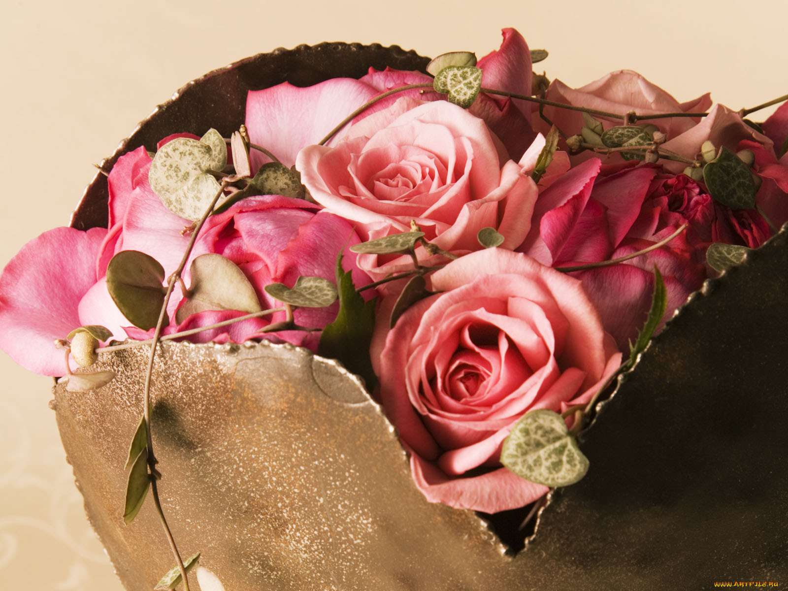 цветы, розы