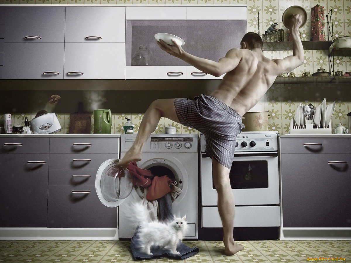 юмор, приколы