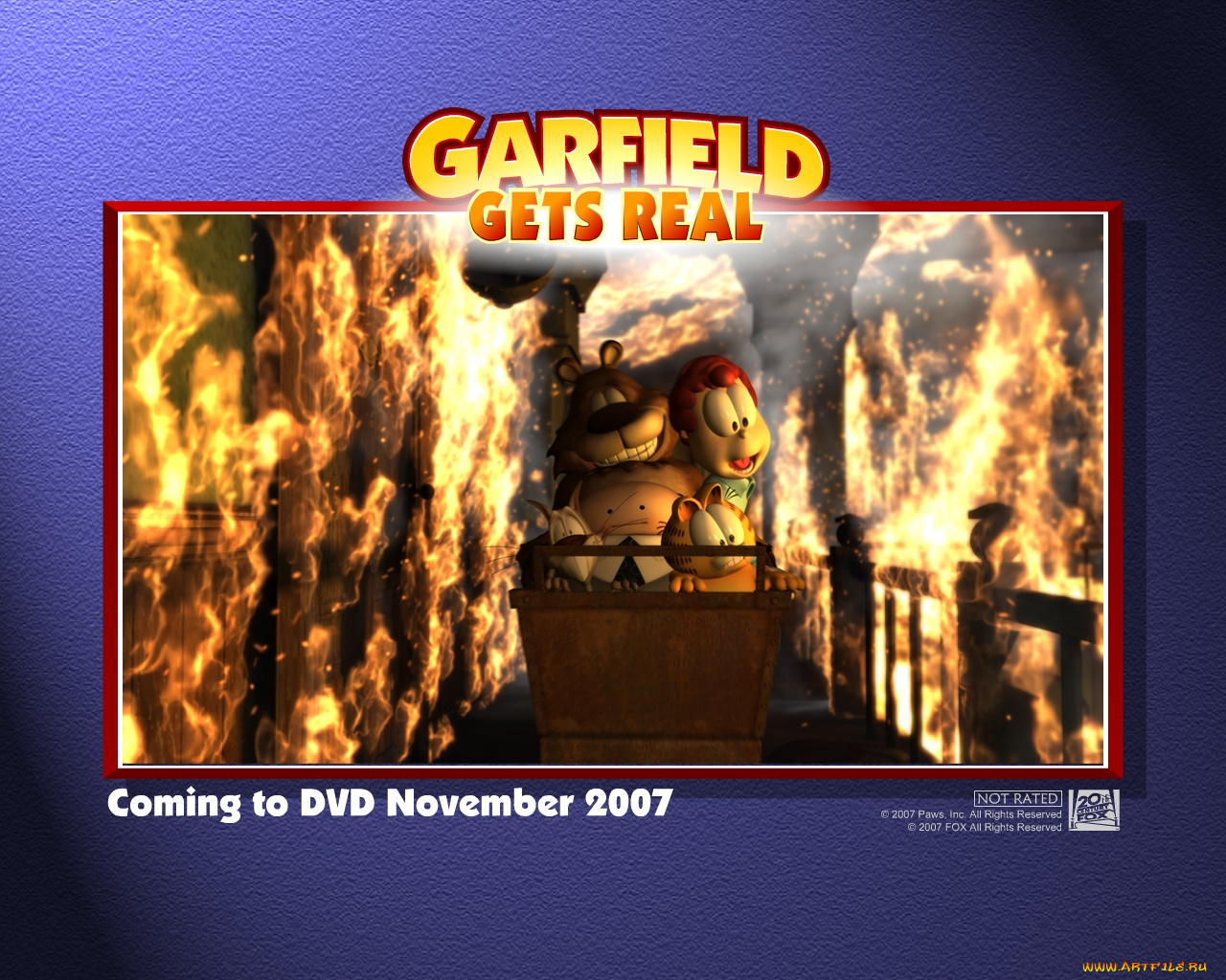 мультфильмы, garfield