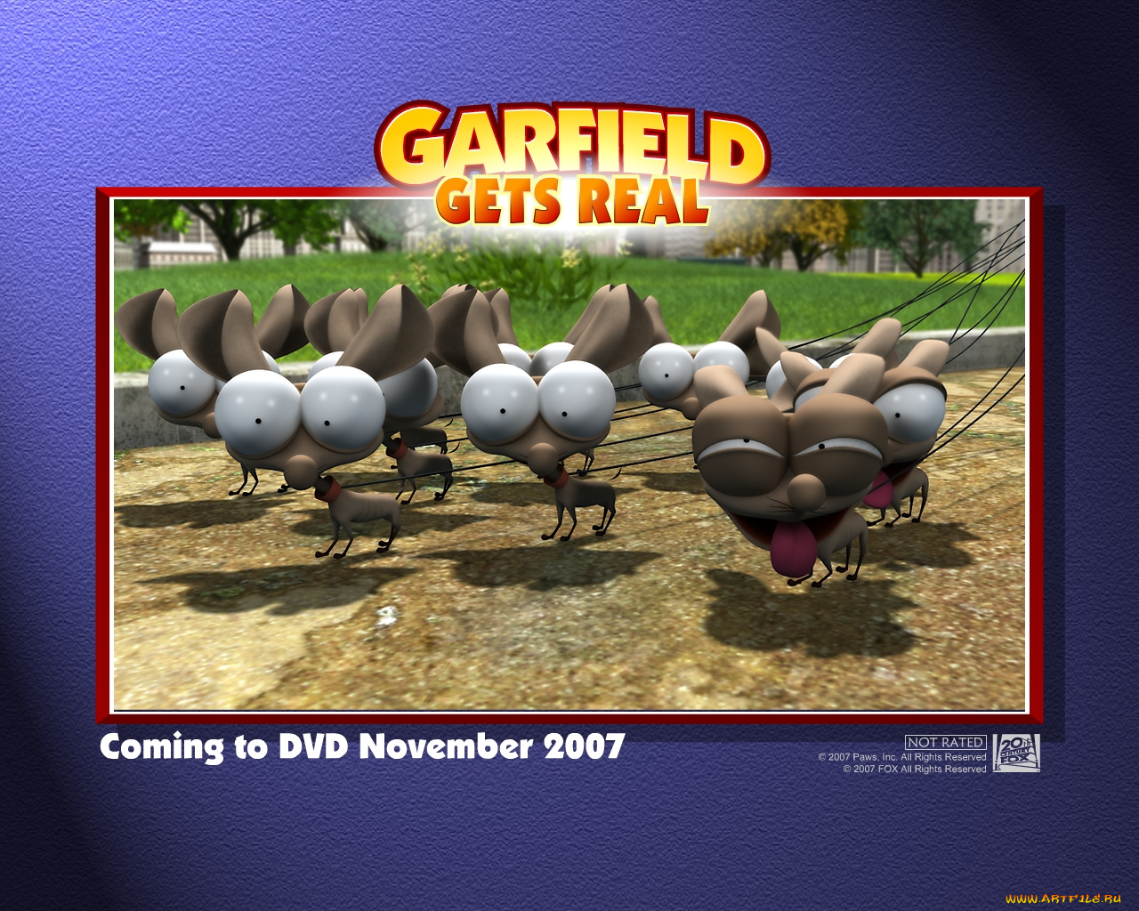 мультфильмы, garfield