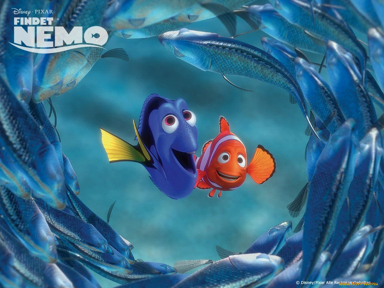 мультфильмы, finding, nemo