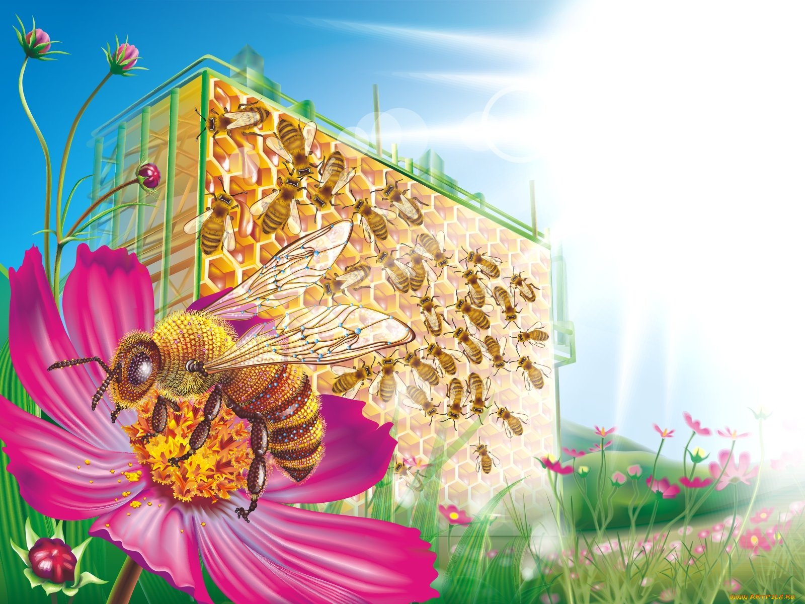 векторная, графика