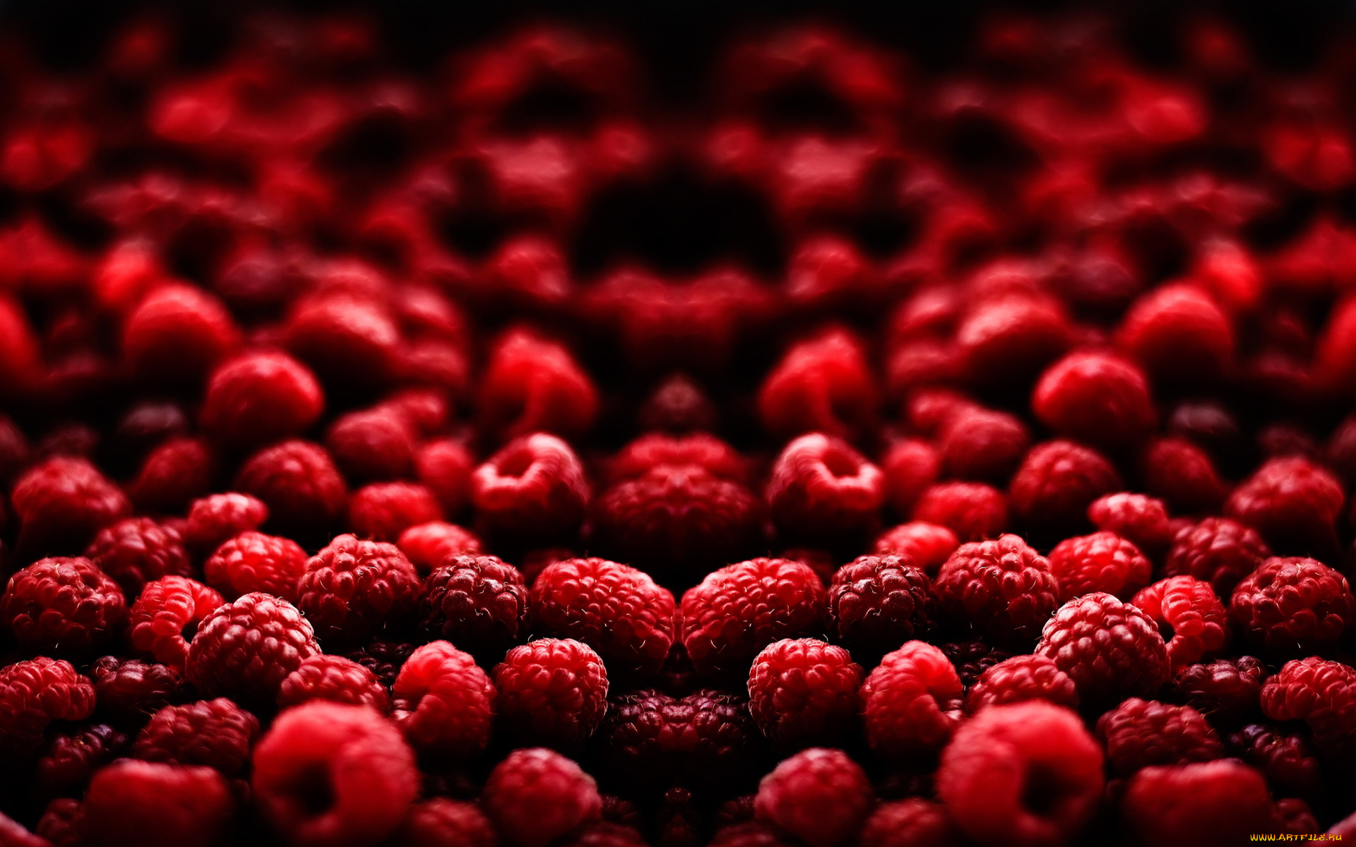 еда, малина