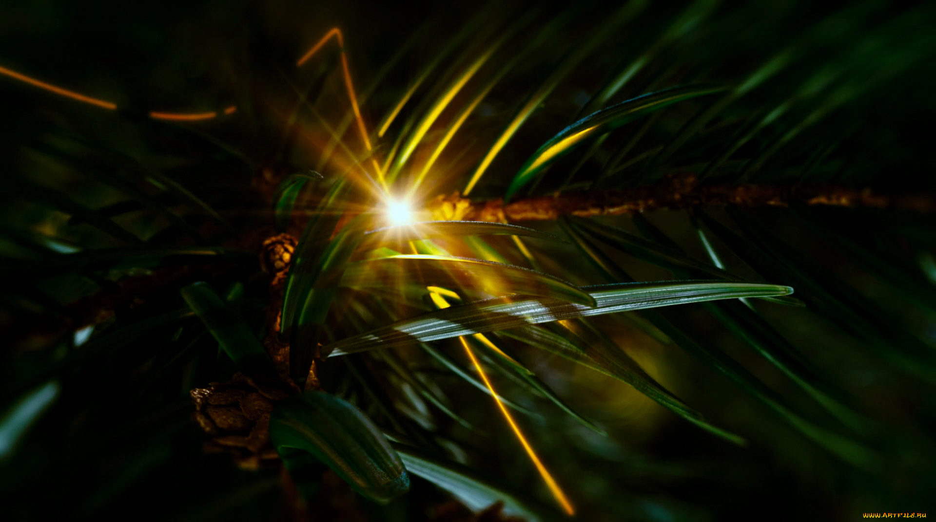 Ёлки, кино, фильмы, елки, хвоя, лучи