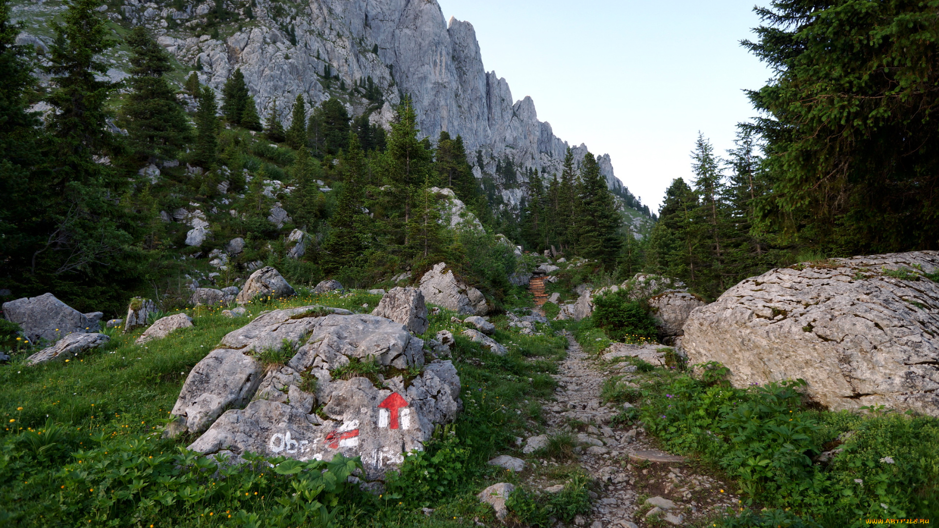 switzerland, природа, горы