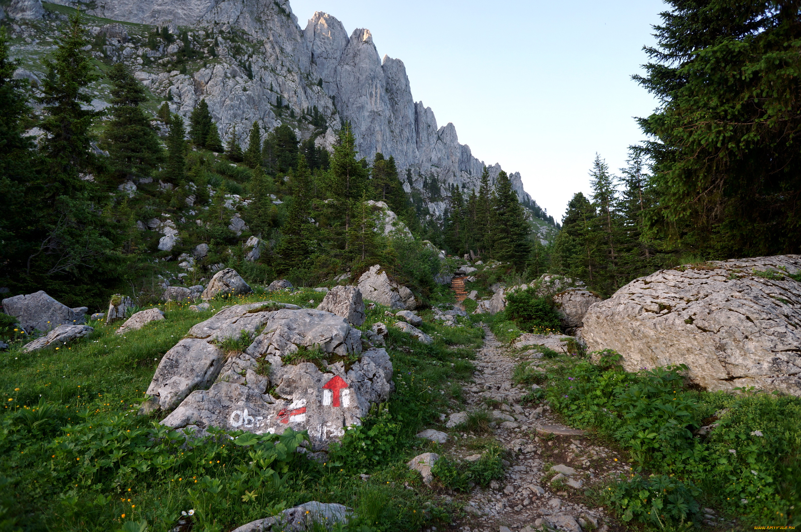 switzerland, природа, горы