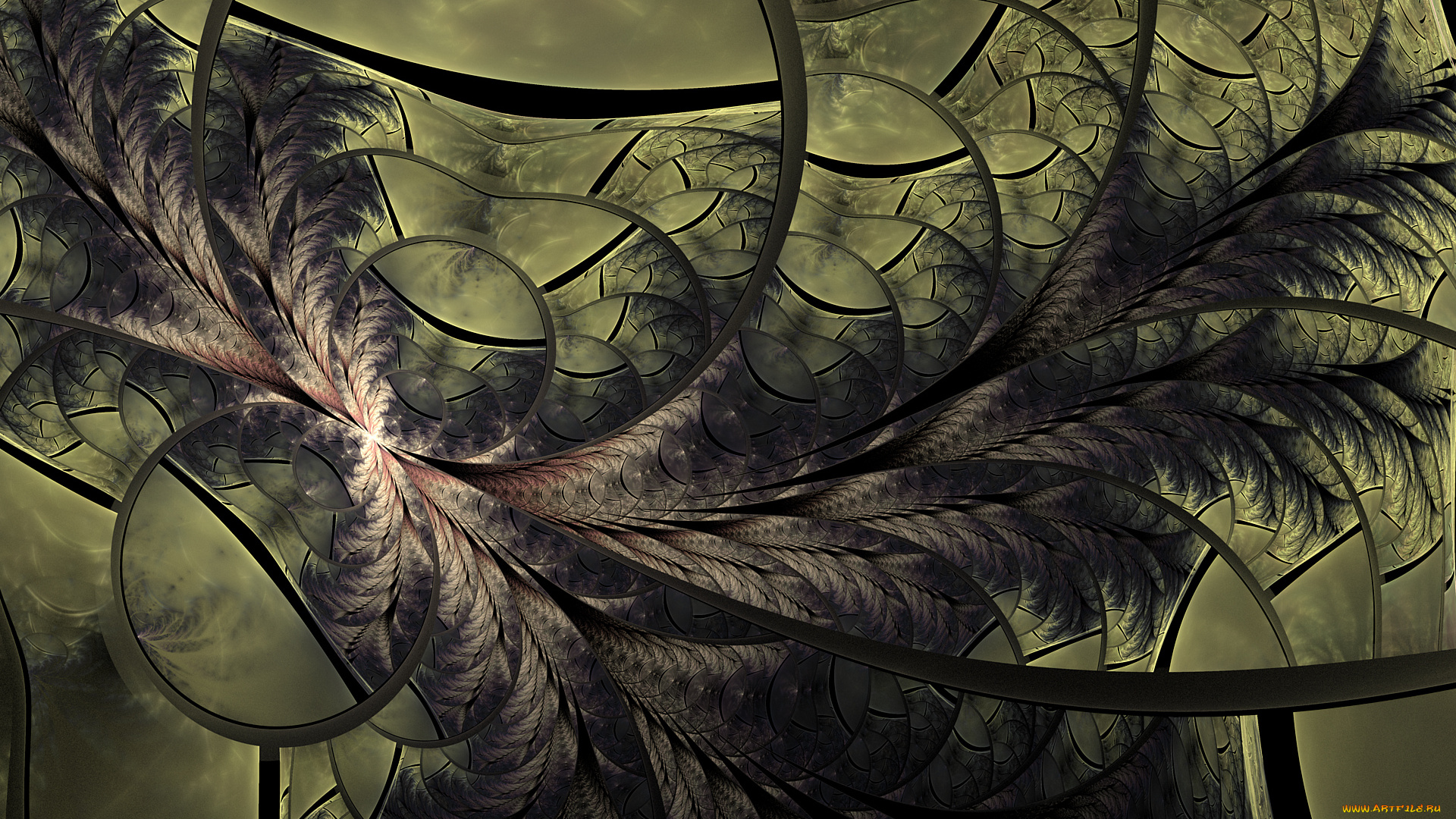 3д, графика, фракталы, , fractal, цвета, фон, узор