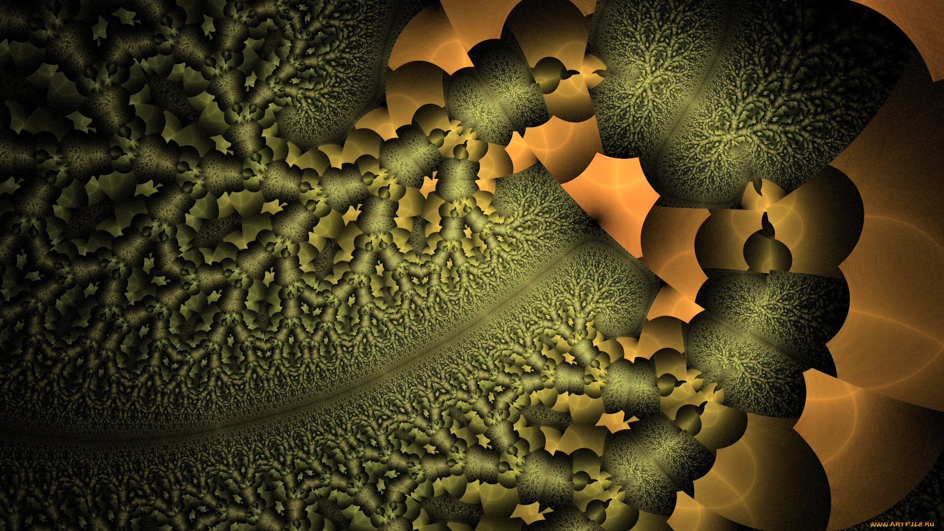 3д, графика, фракталы, , fractal, фон, цвета, узор