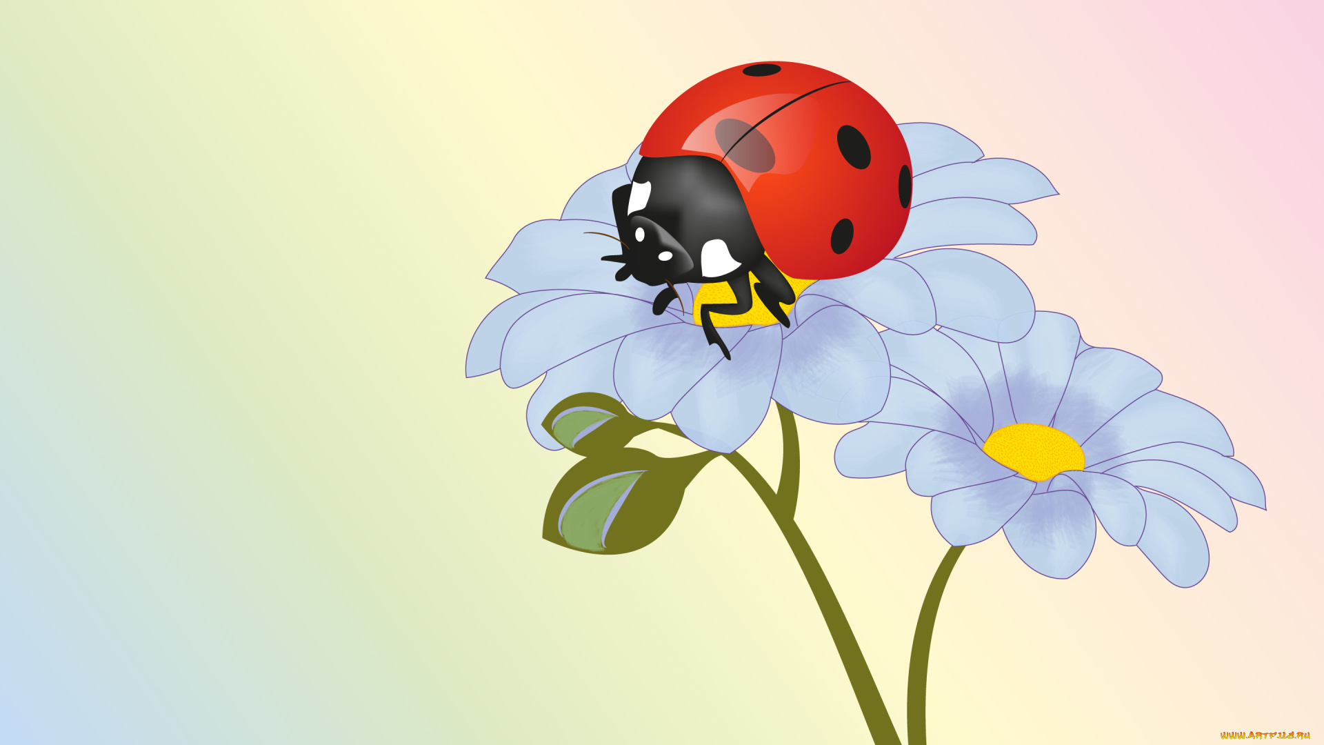векторная, графика, животные, , animals, цветы, божья, коровка, насекомое, лето