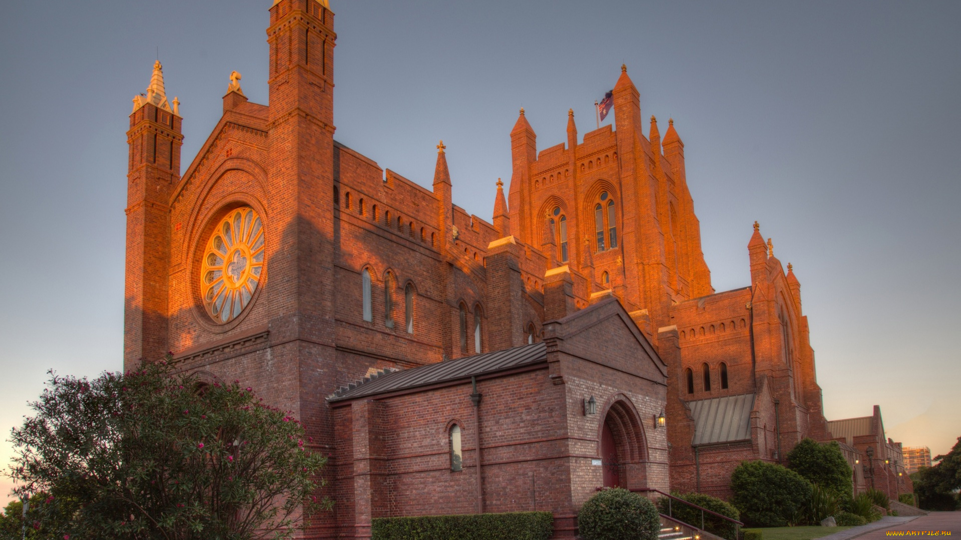 австралия, города, -, католические, соборы, , костелы, , аббатства, дорога, кустарники