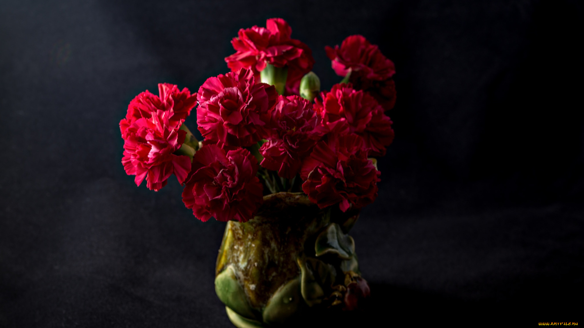 цветы, гвоздики, тёмный, фон, букет