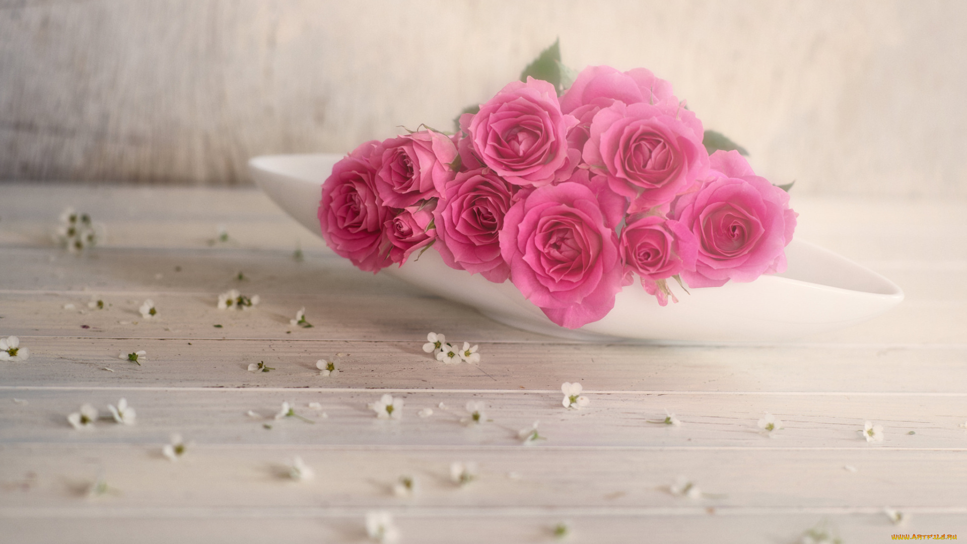 цветы, розы, цветение, листья, blossoms, petals, bud, rose, leaves, роза, бутон, лепестки