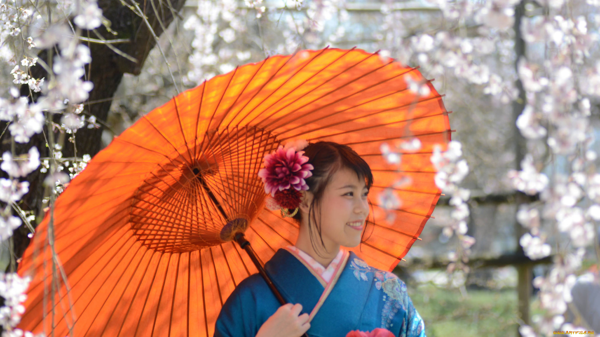 девушки, -unsort, , азиатки, зонт, девушка