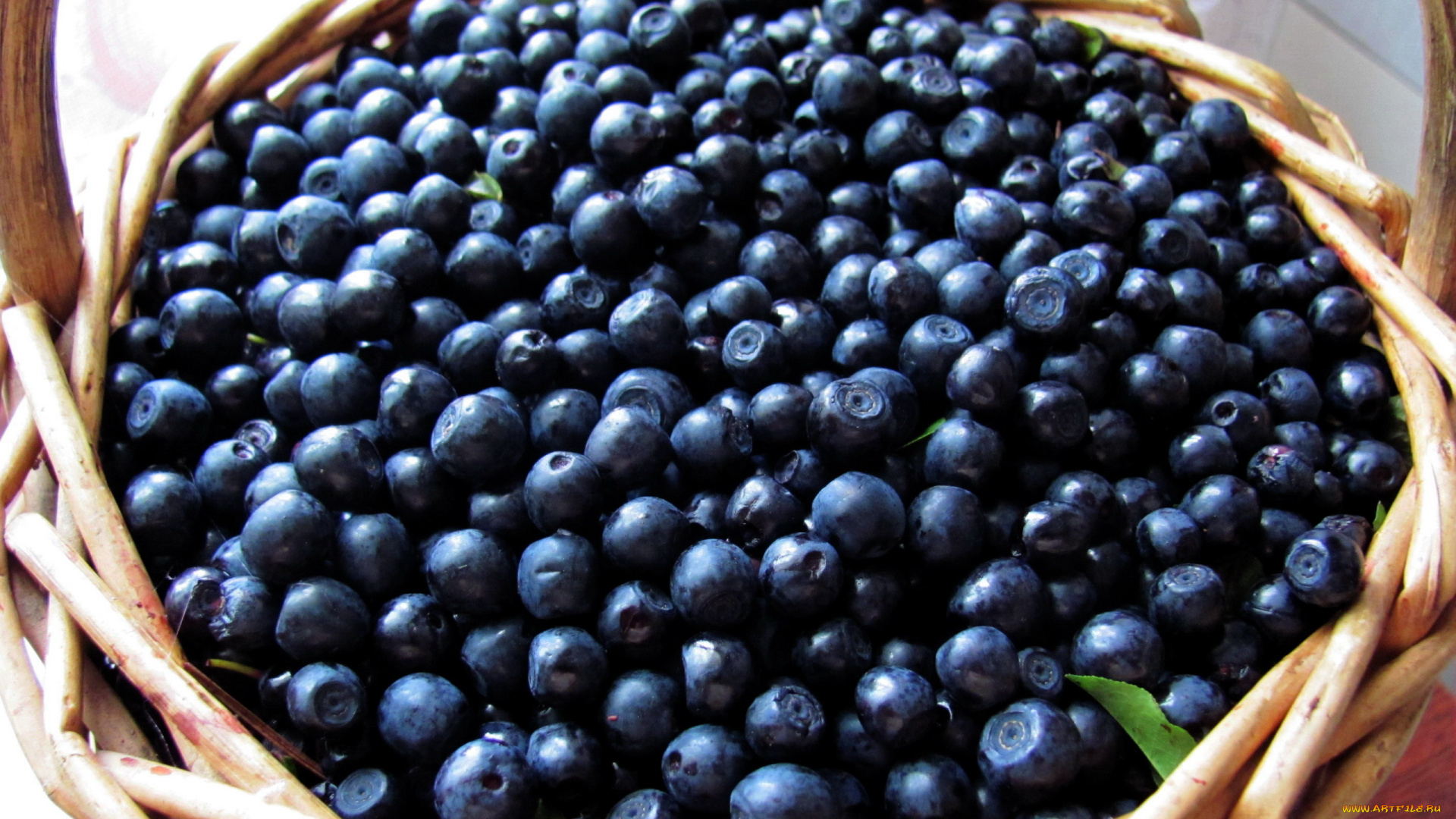еда, голубика, , черника, корзинка, черника, много