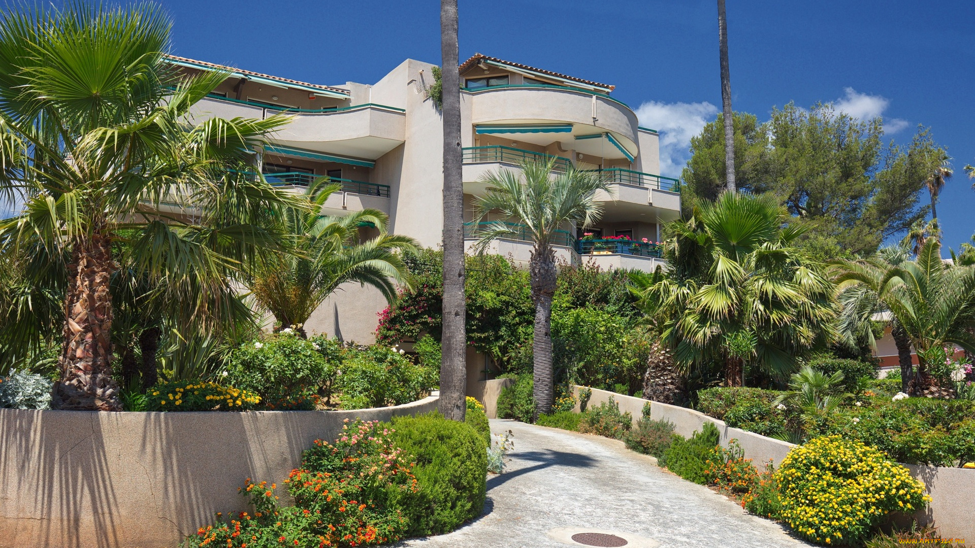 франция, города, -, здания, , дома, пальмы, цветы, дорожка