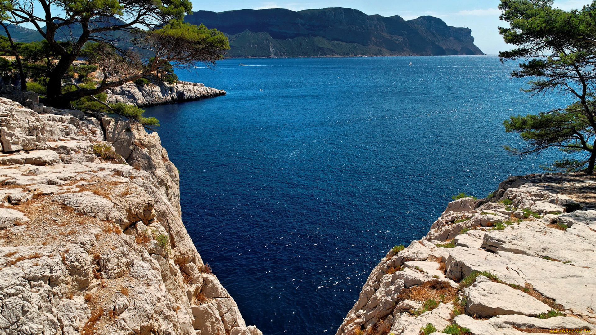 франция, природа, побережье, водоем, деревья, скалы