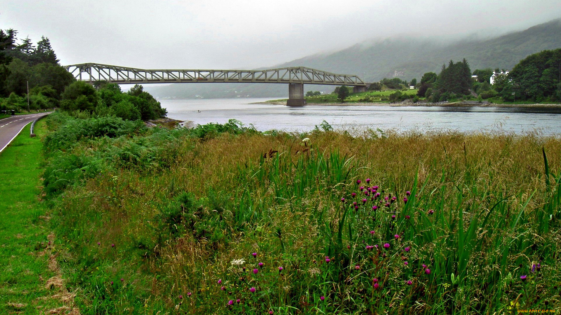 города, -, мосты, горы, мост, река, лето, разнотравье, туман