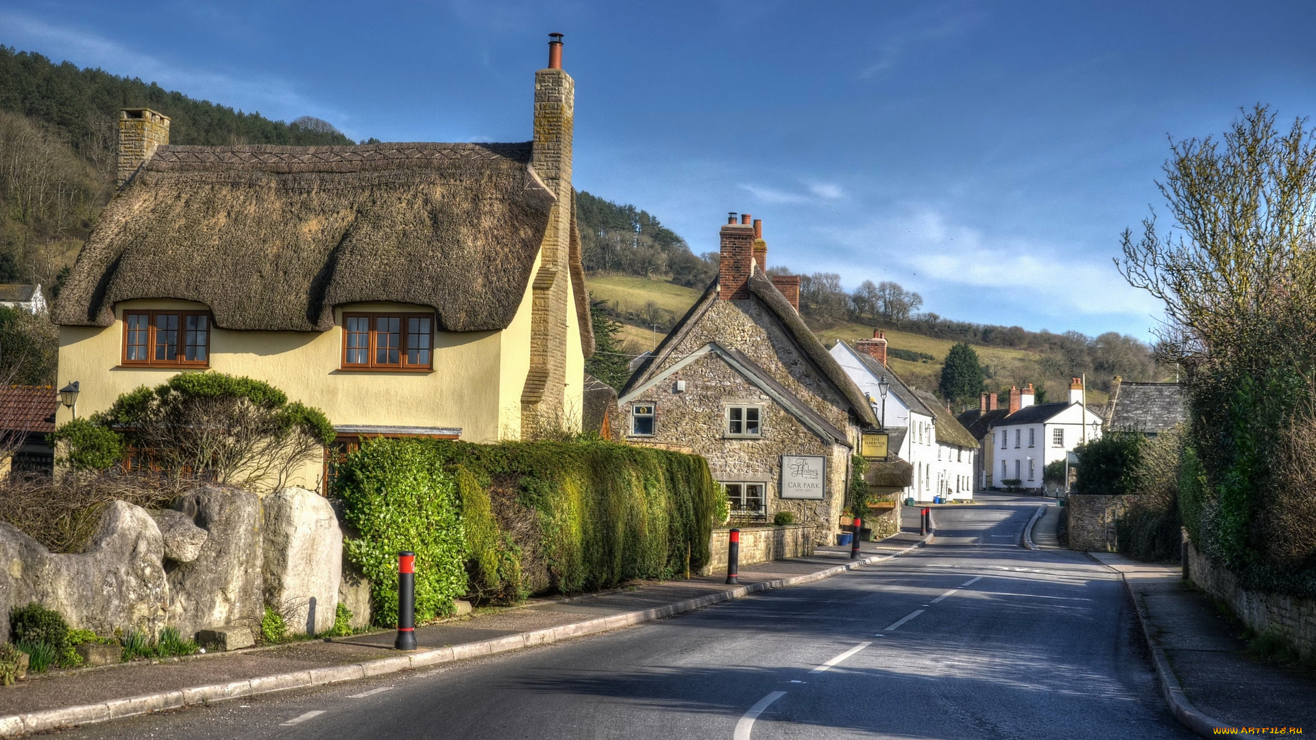 города, -, улицы, , площади, , набережные, дома, кустарники