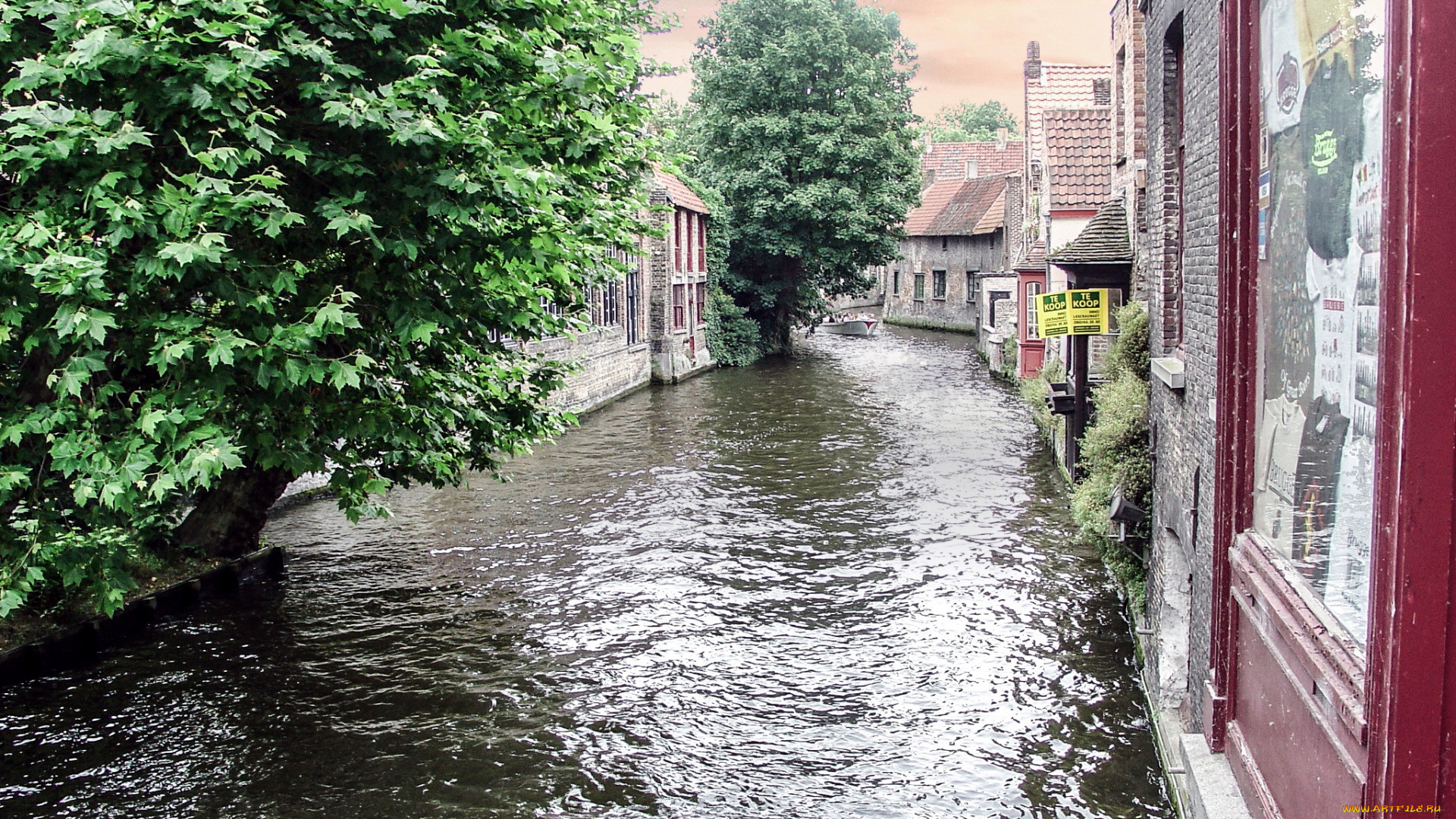 города, брюгге, , бельгия, деревья, дома, канал