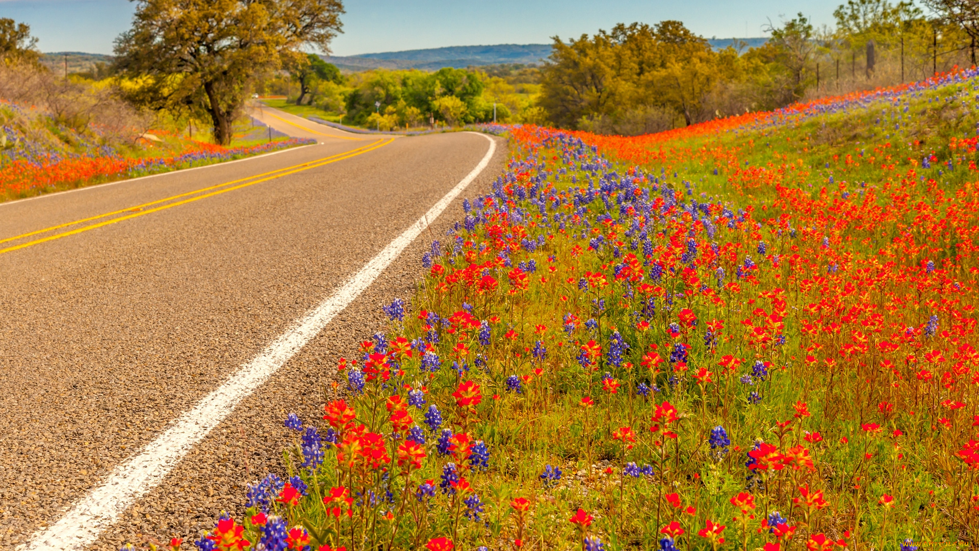 природа, дороги, деревья, цветы