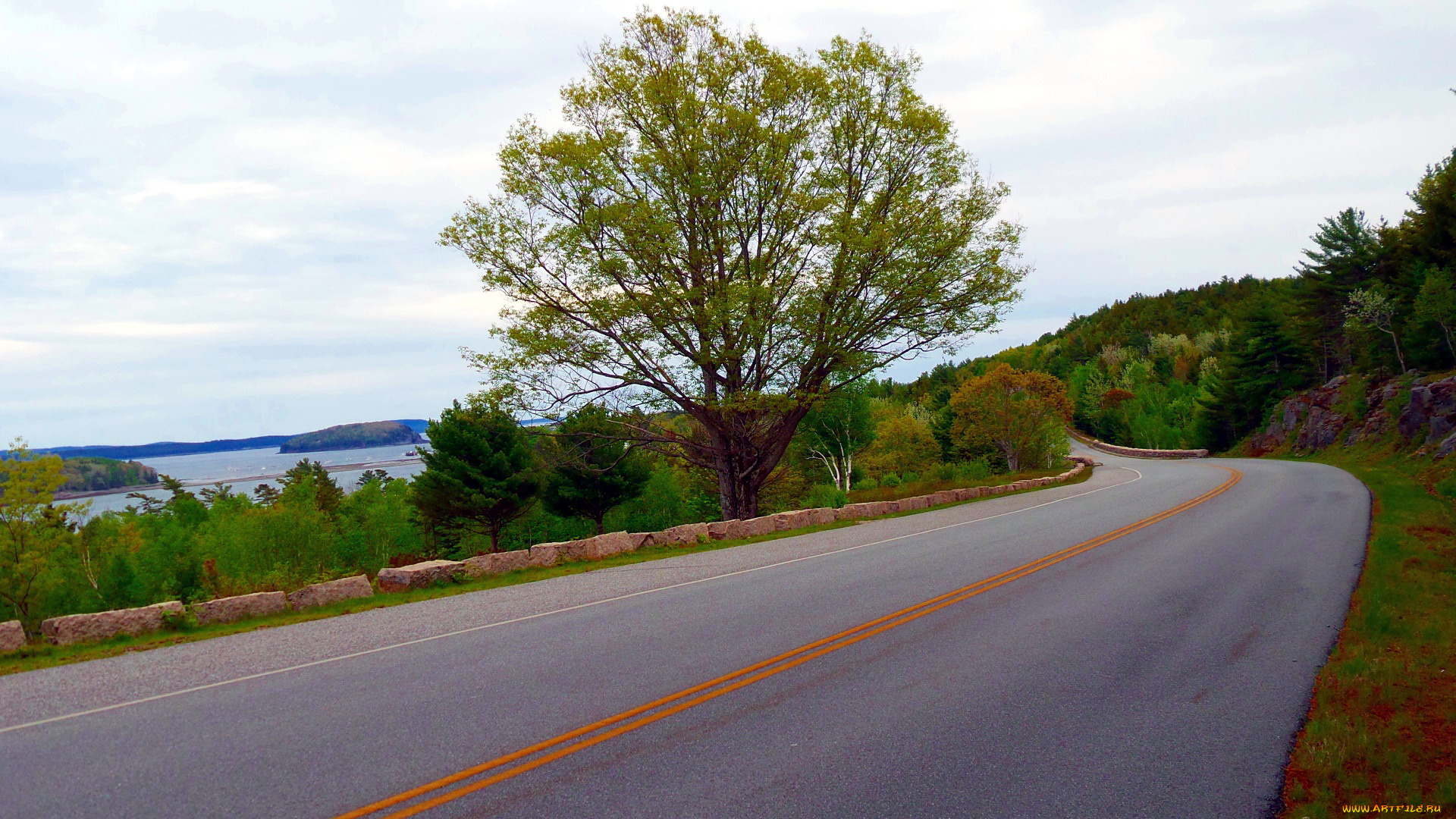 природа, дороги, шоссе