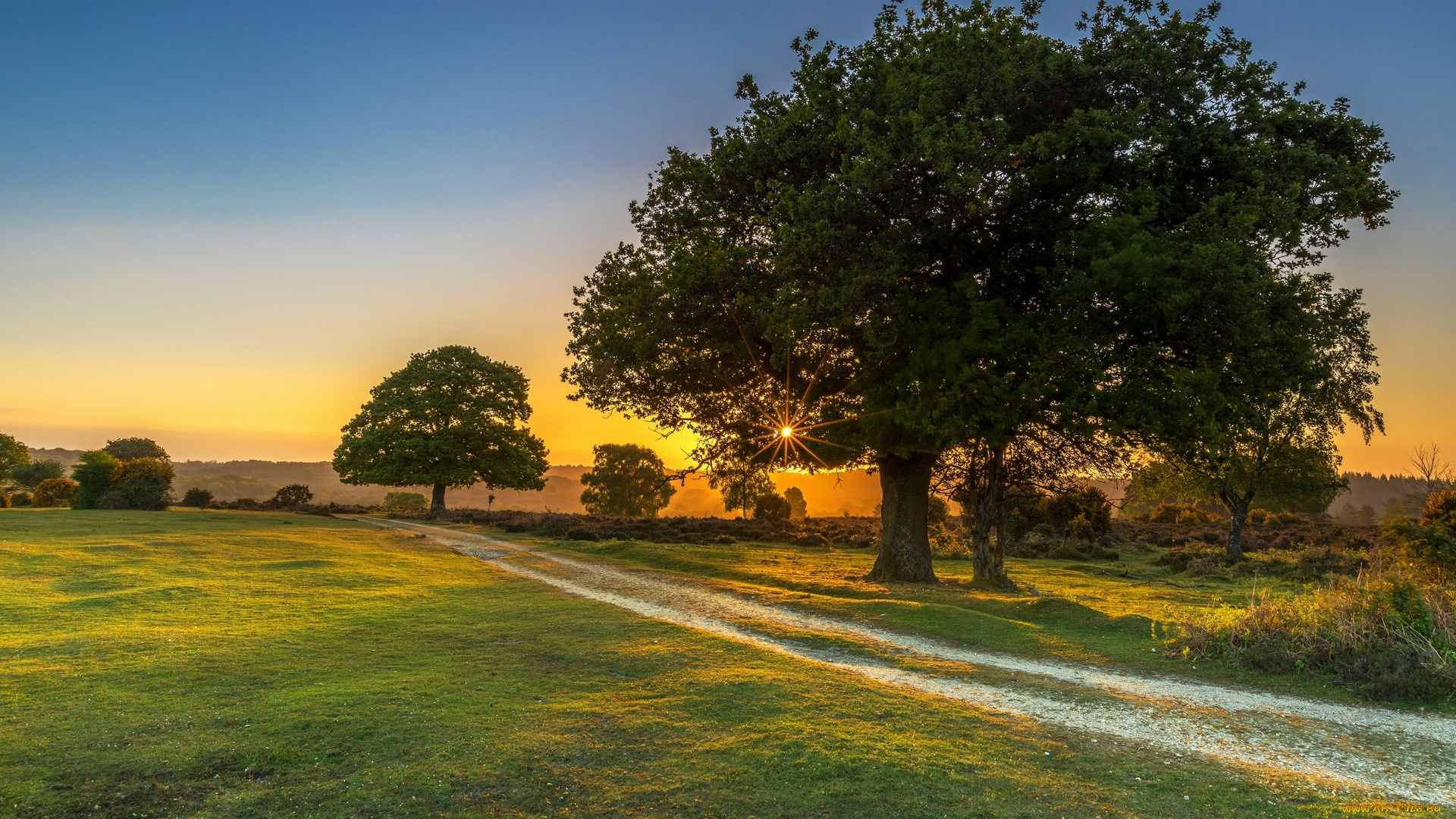 природа, дороги, трава, деревья, солнце