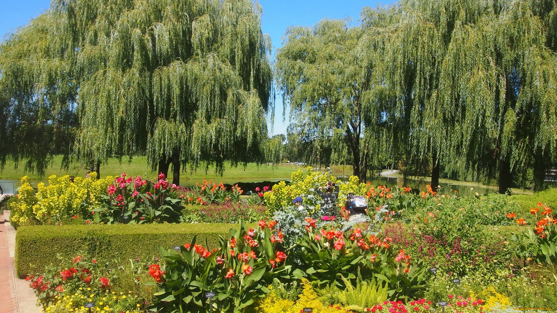 природа, парк, деревья, цветы