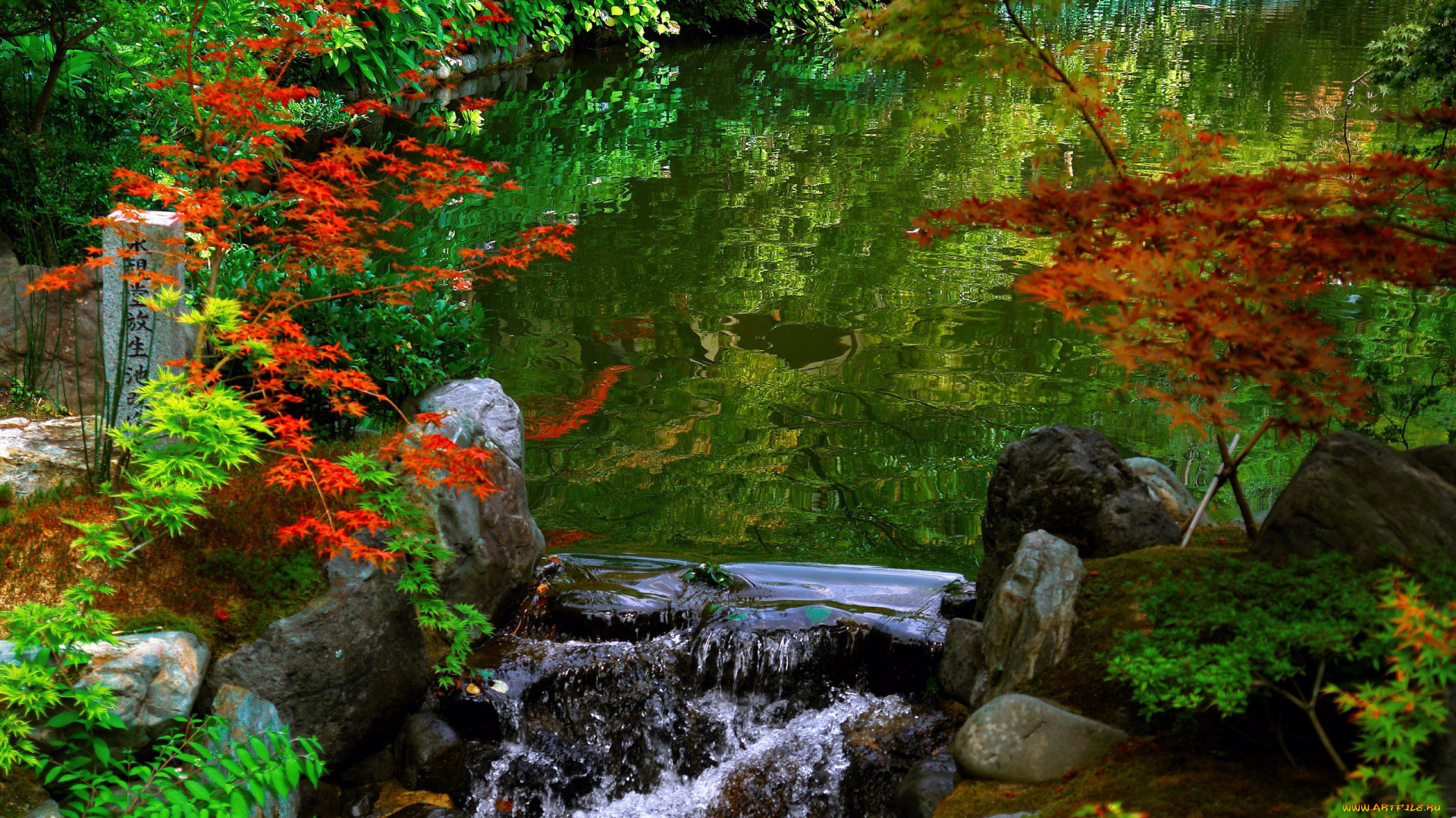 природа, парк, осень, кусты, водопад, водоем