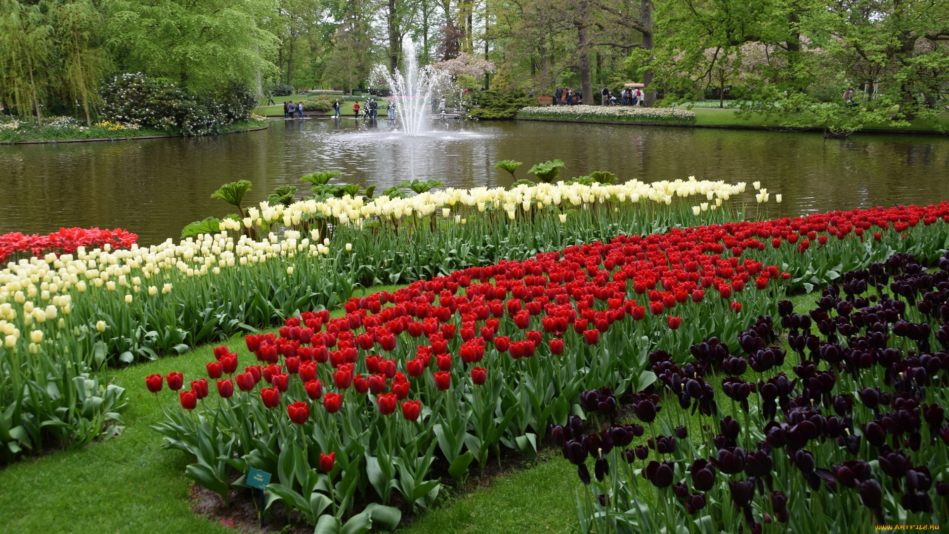 природа, парк, водоем, трава, деревья, цветы, фонтан