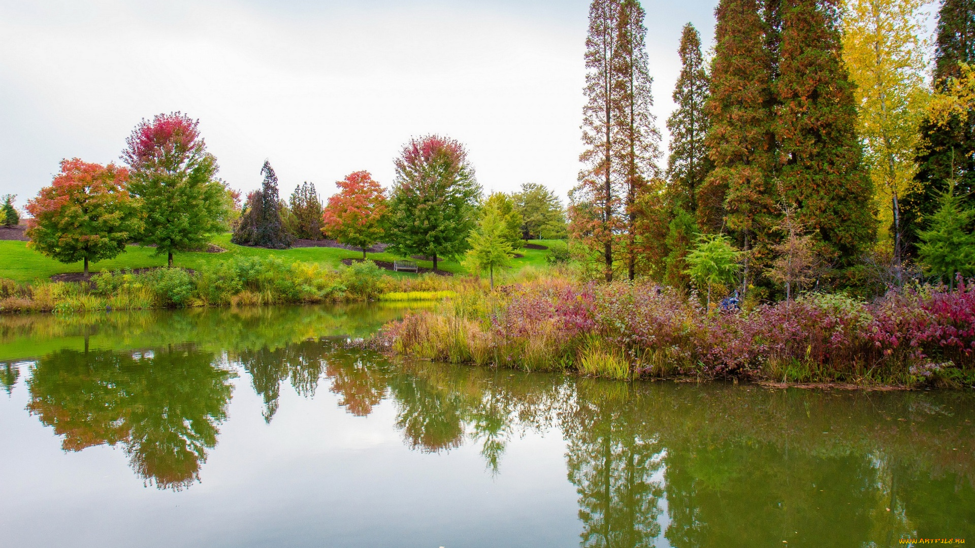 природа, реки, озера, деревья, кустарники, водоем