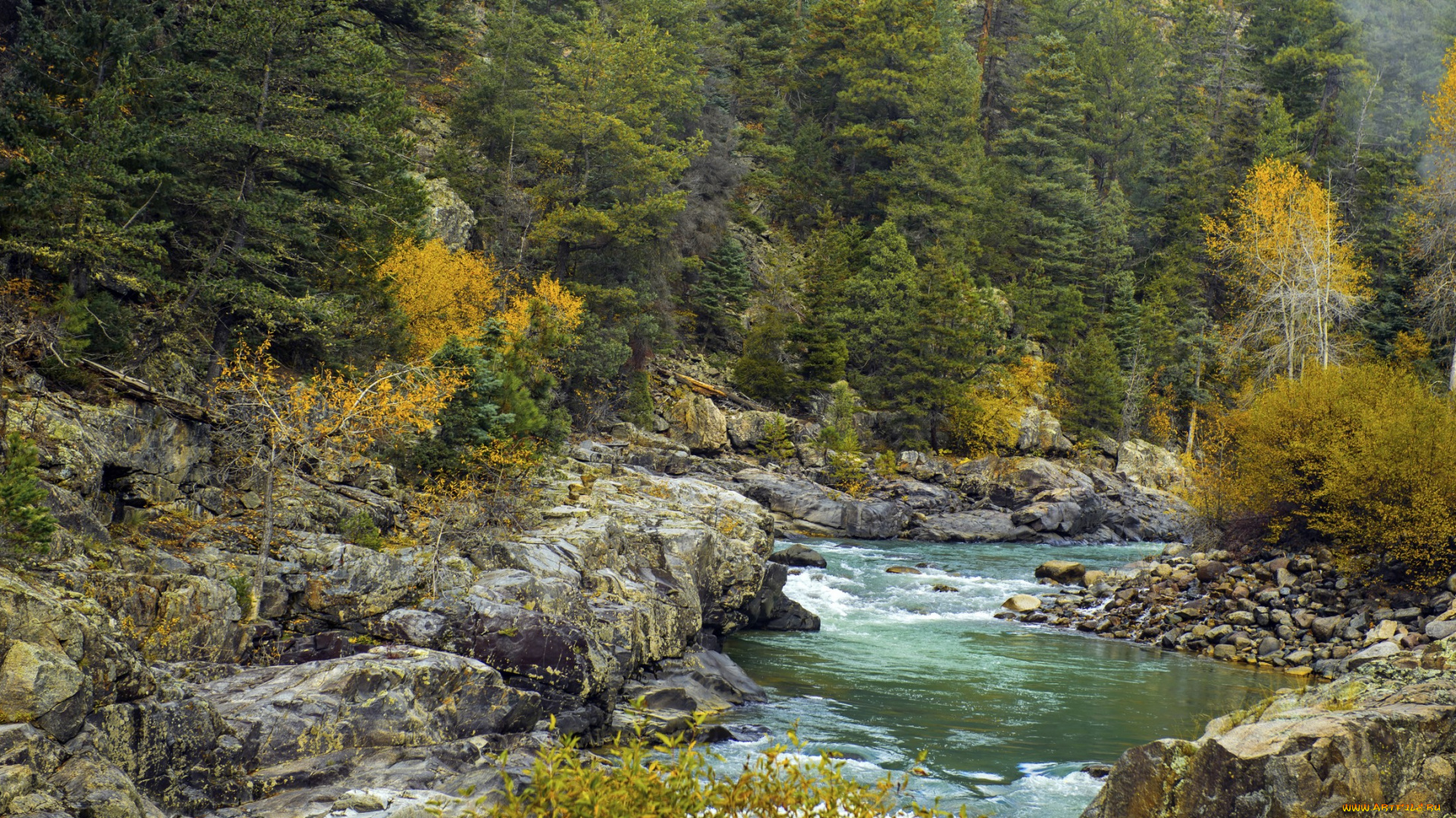 природа, реки, озера, простор