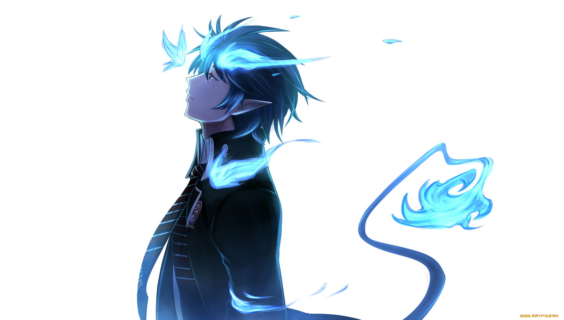 аниме, ao, no, exorcist, синий, экзорцист