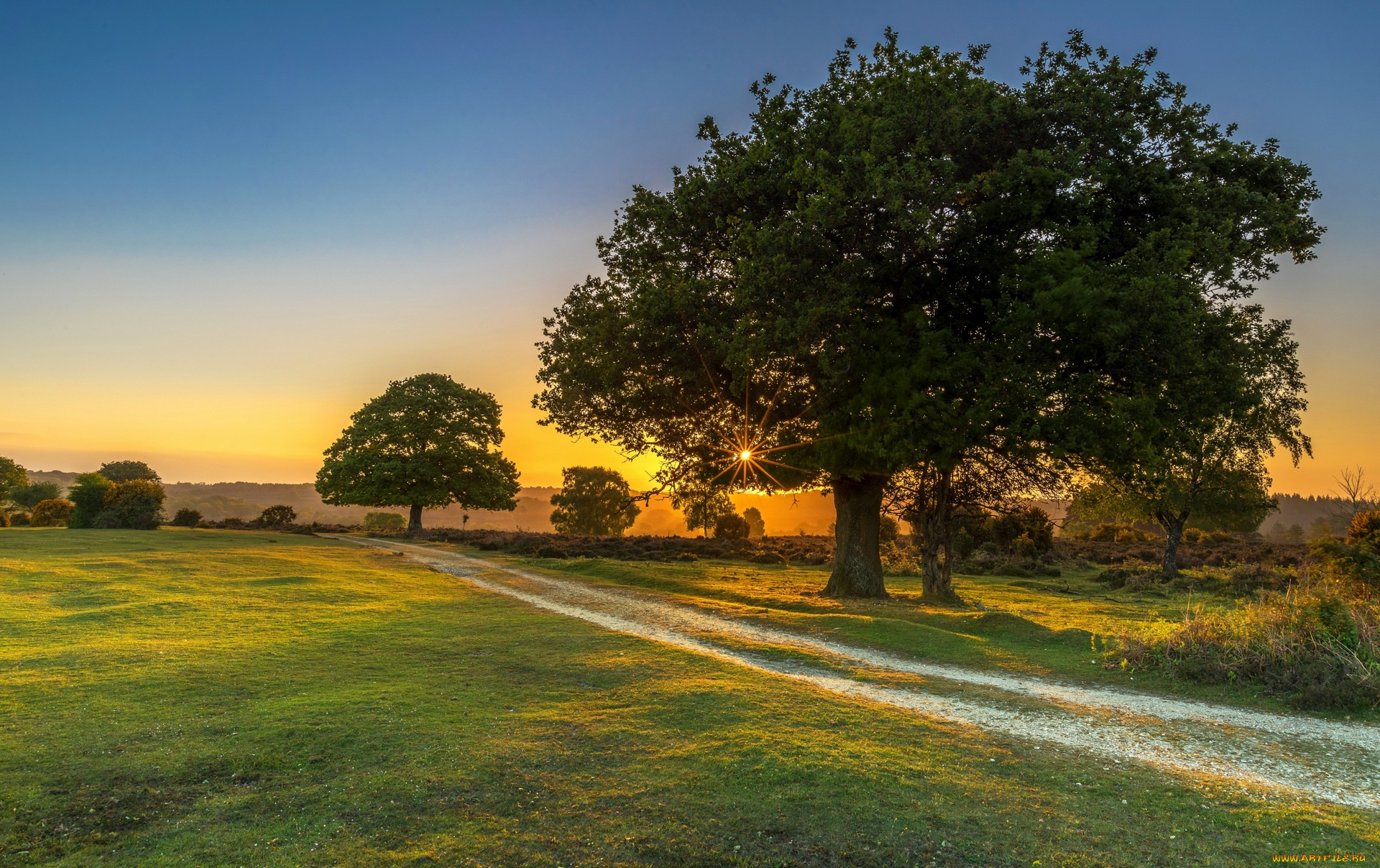 природа, дороги, трава, деревья, солнце