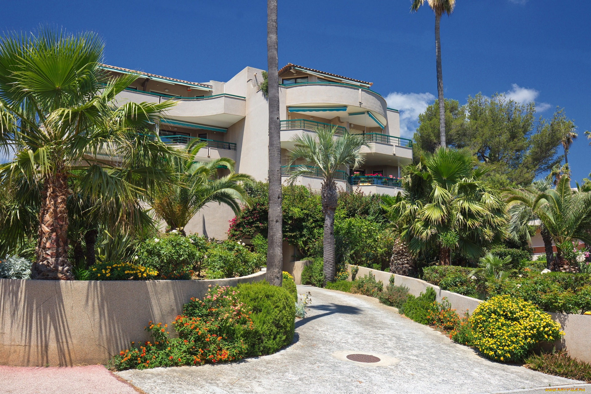 франция, города, -, здания, , дома, пальмы, цветы, дорожка